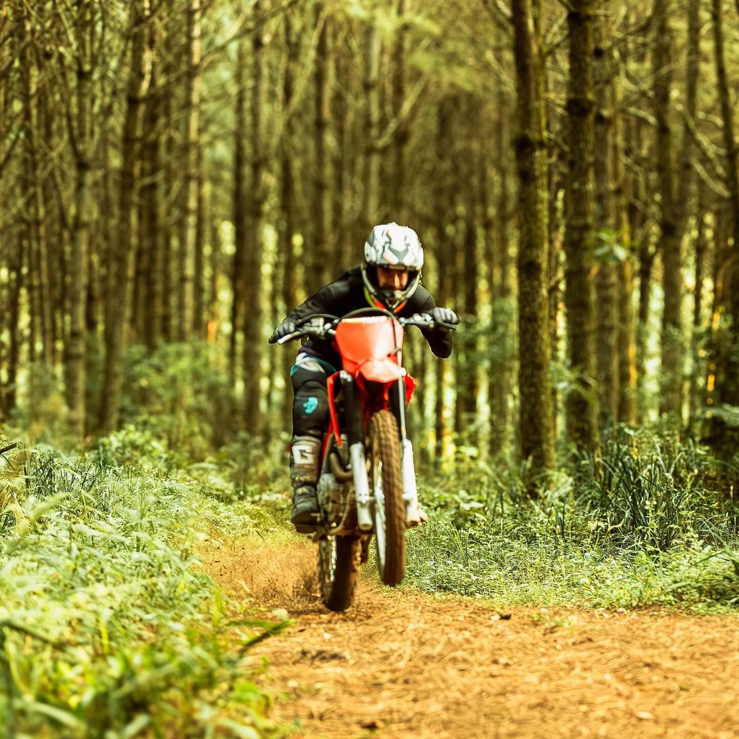 Deb Martins Fotografia - 12