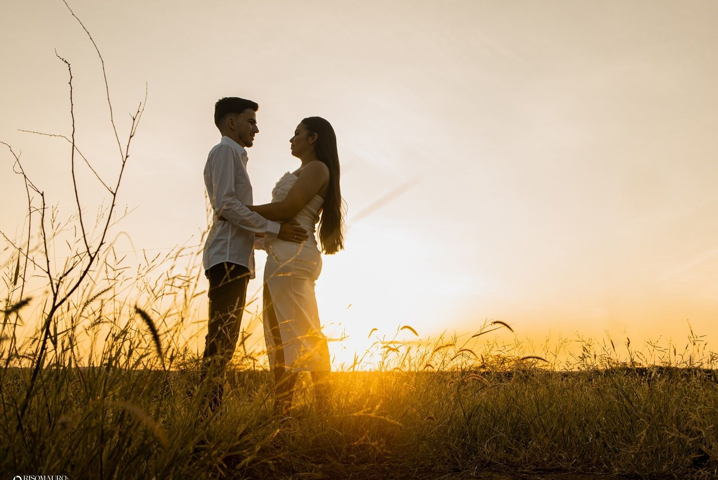 Studio Risomauro Santana - 6