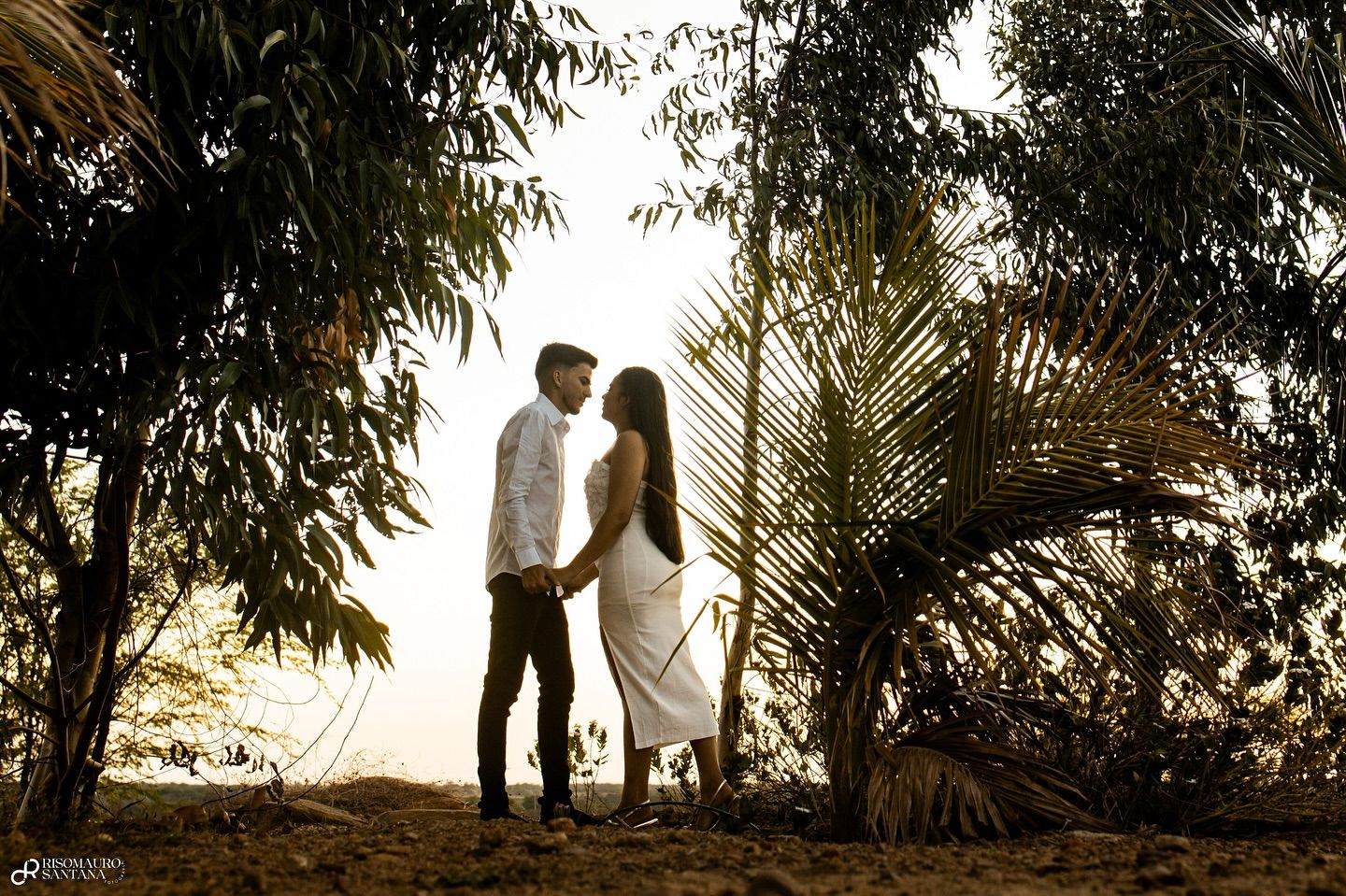 Studio Risomauro Santana - 7