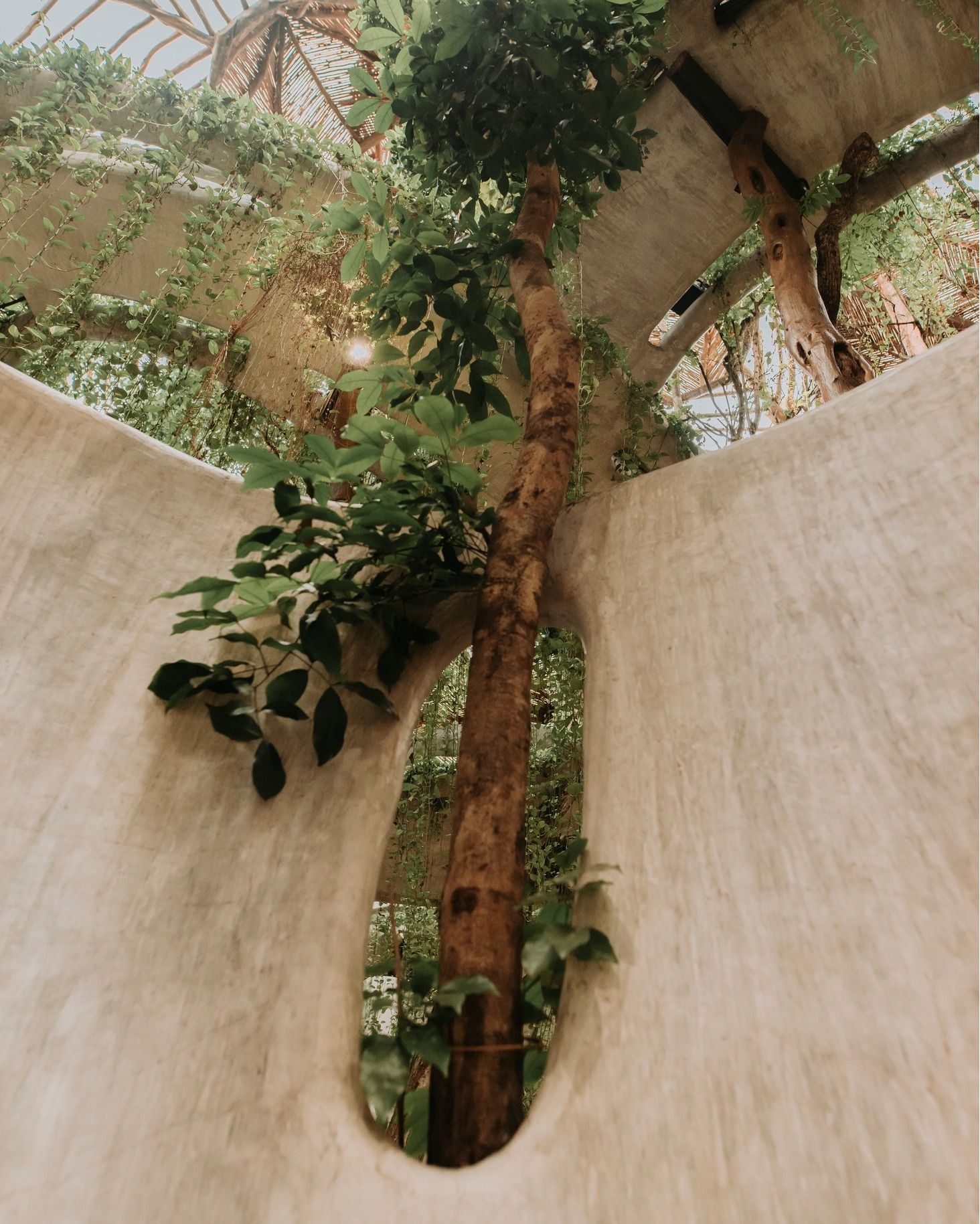 SFER IK Tulum: Arte, Natureza e Chukum - 8