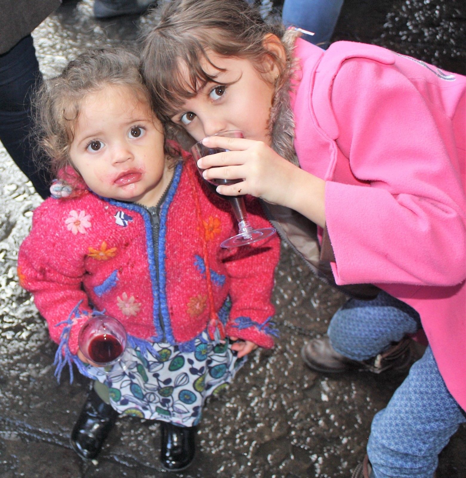 Vinícolas com crianças na Serra Gaúcha: Trem Maria Fumaça - 8