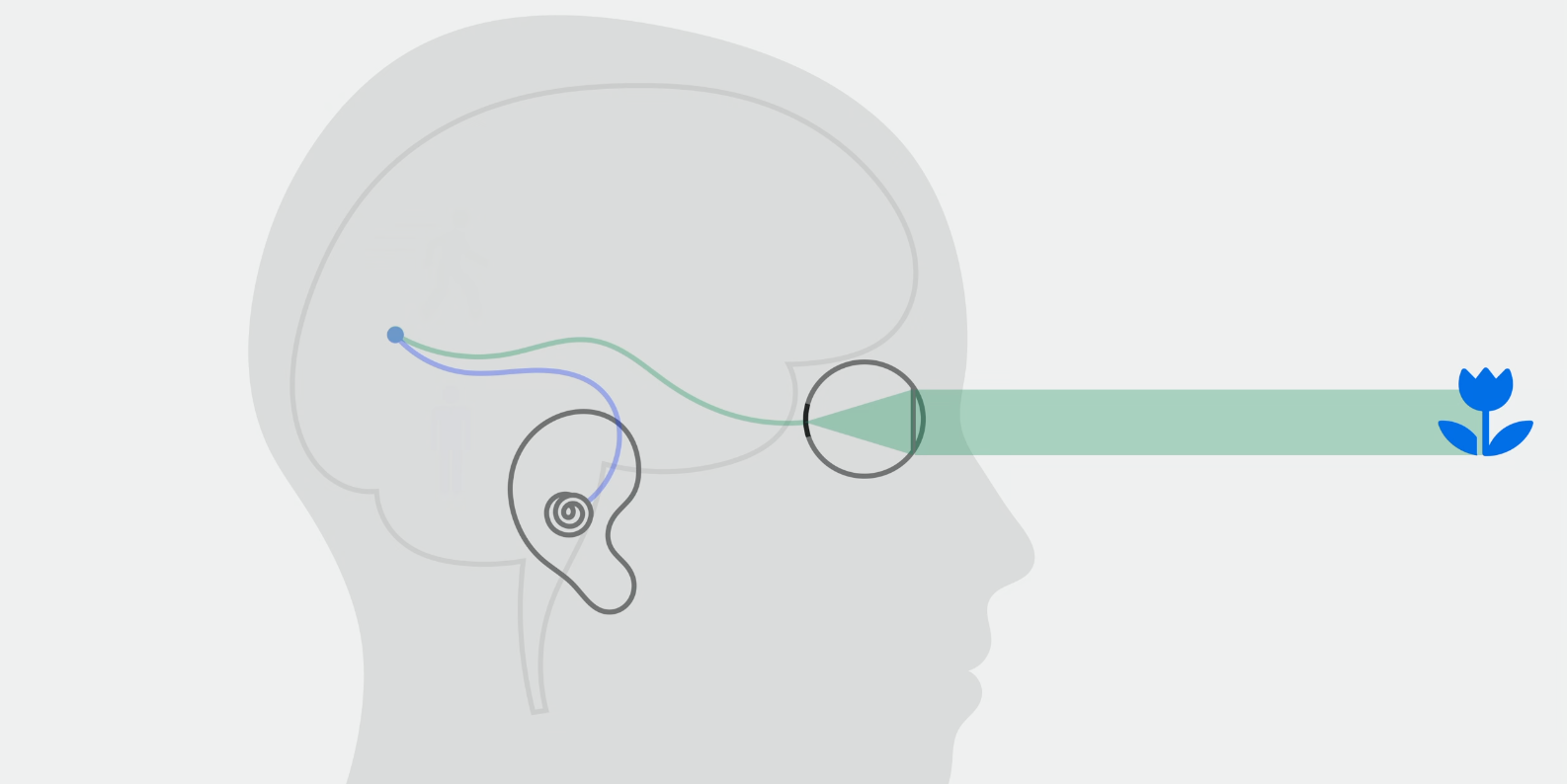 Tutorial como usar o Apple Vision Pro - 6
