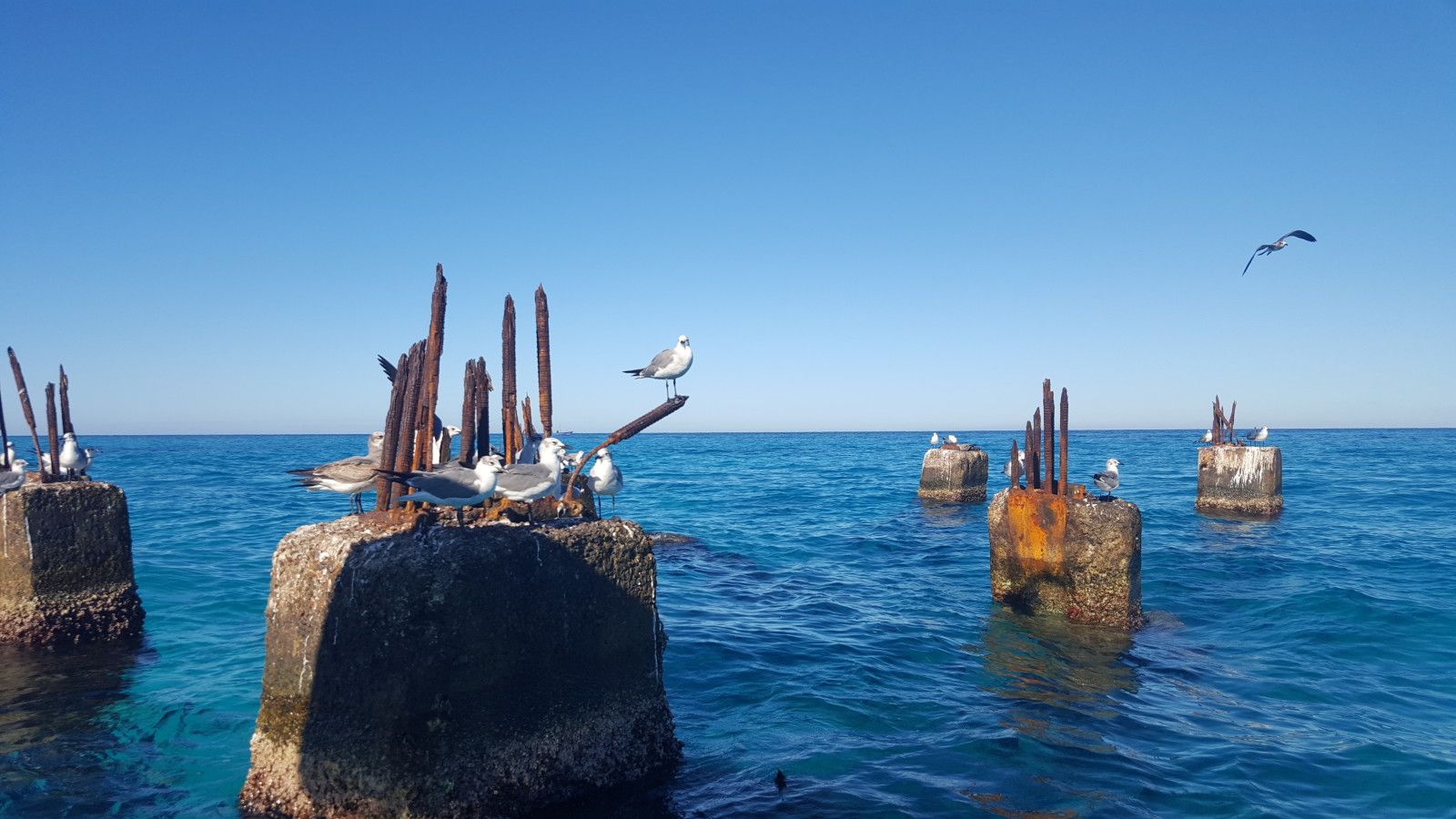 Lua de Mel na República Dominicana: um dos destinos preferidos! - 8