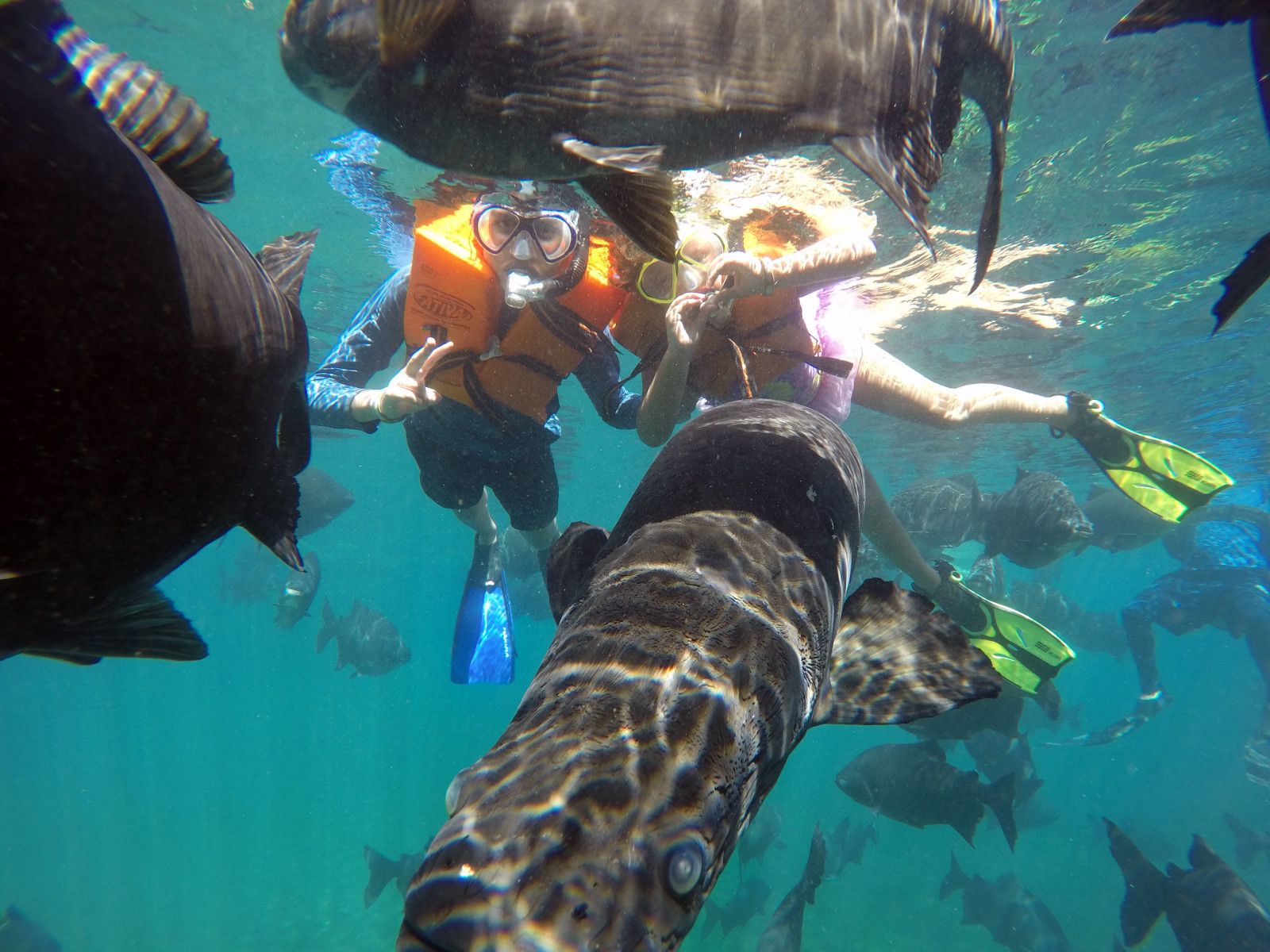 Hot Park no Rio Quente: o que você precisa saber! - 31