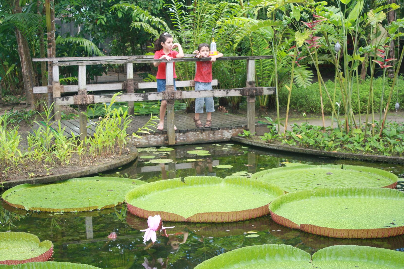 O que fazer em Belém do Pará. Roteiro com crianças! - 23