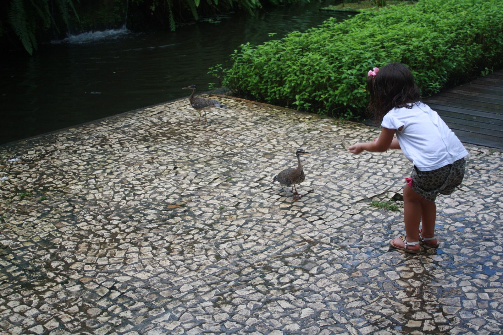 O que fazer em Belém do Pará. Roteiro com crianças! - 33