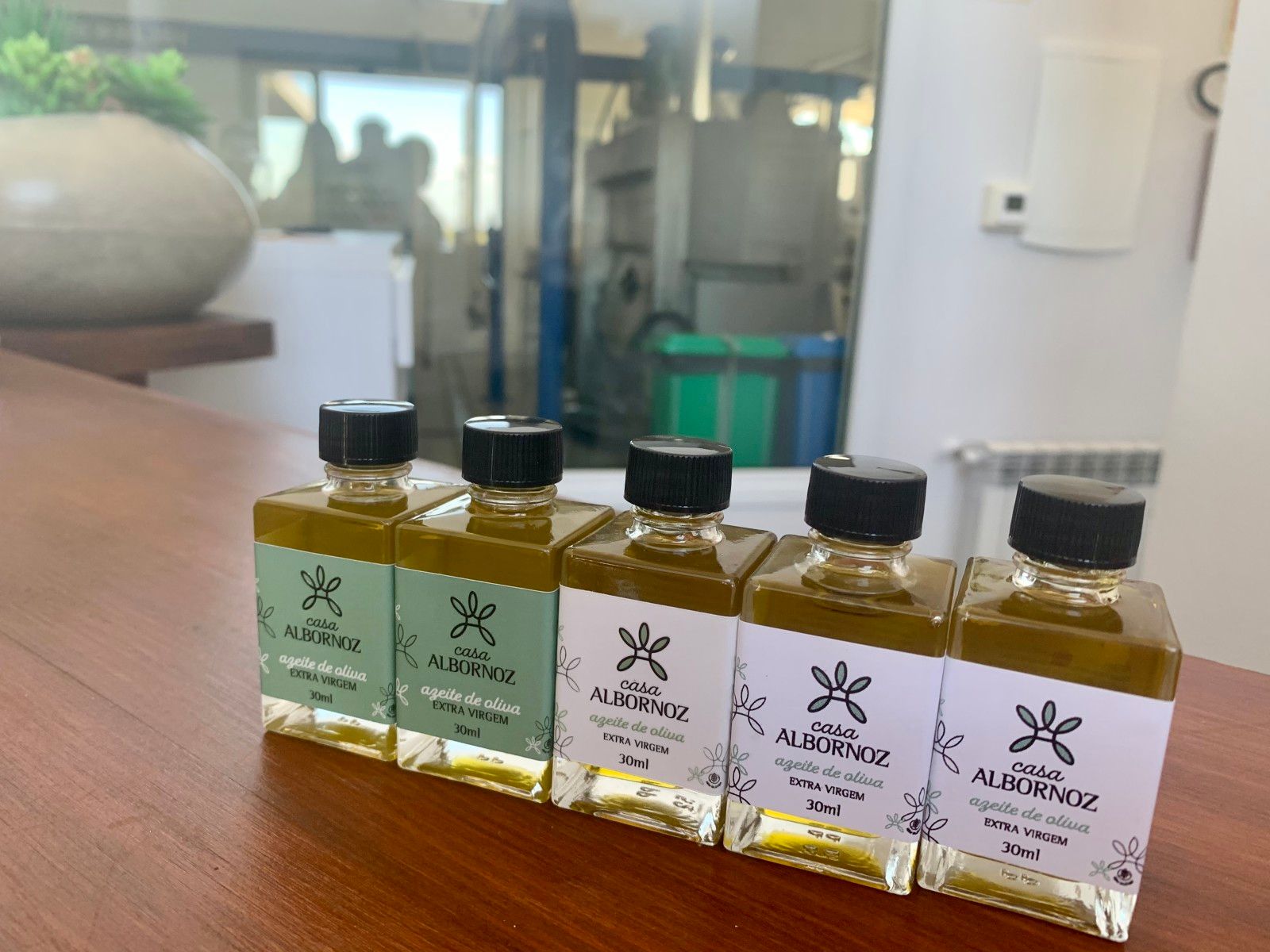 Provando delícias na rota Ferradura dos Vinhedos em Santana do Livramento - 42