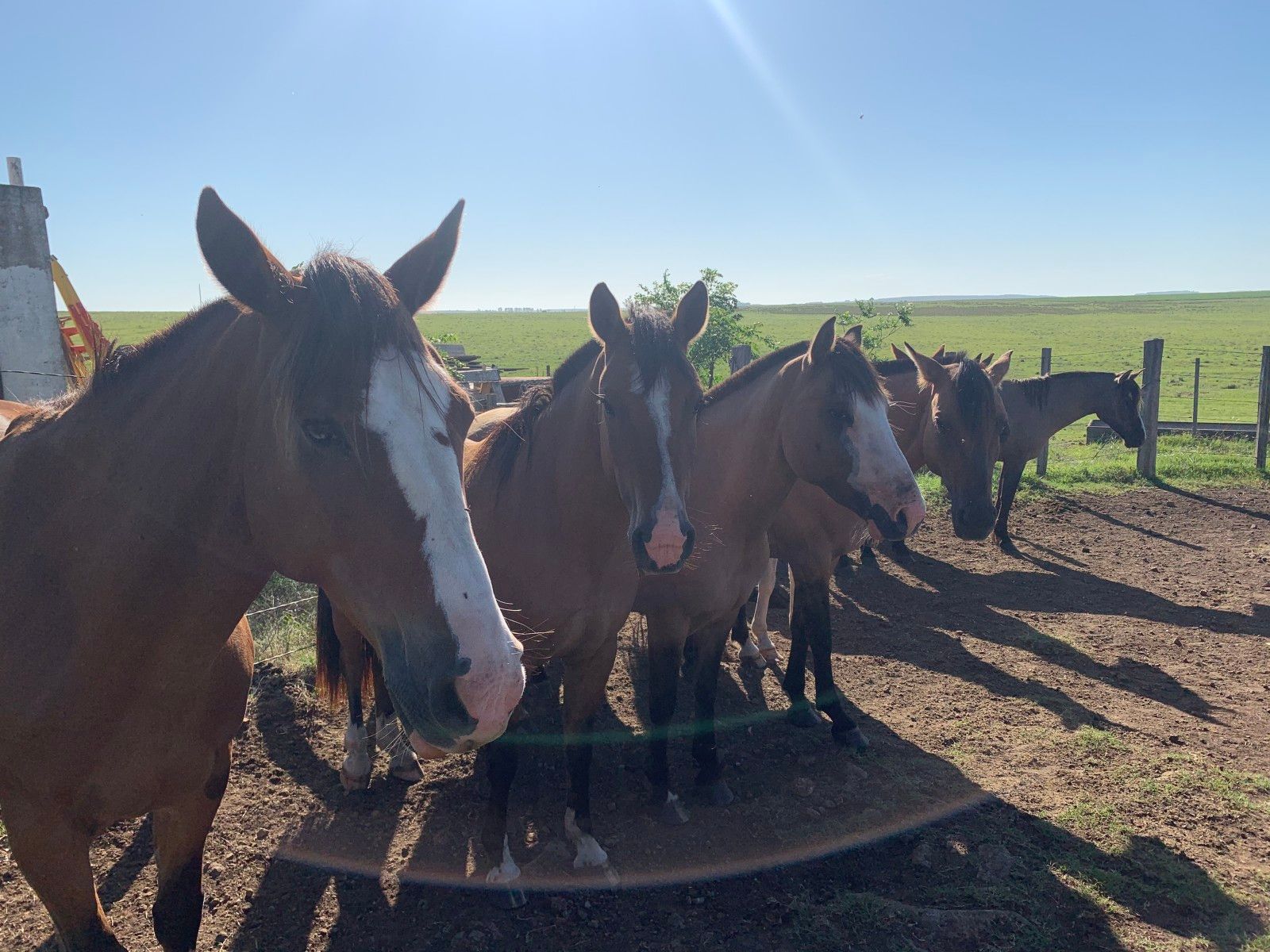 Casa del Lago:  hospedagem de Campo no Uruguay - 49