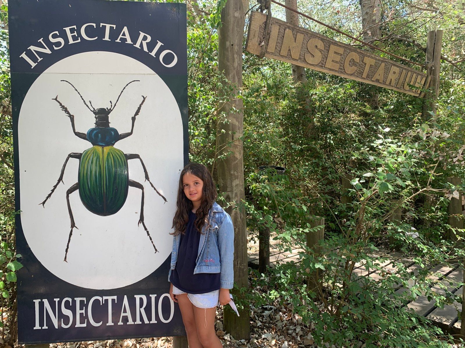 Museo del Mar em Punta del Este - 45