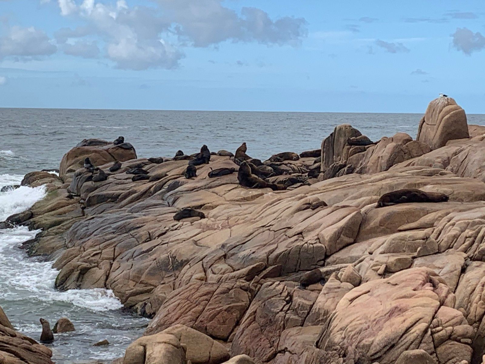 O que fazer em Cabo Polonio em 1 dia - 32