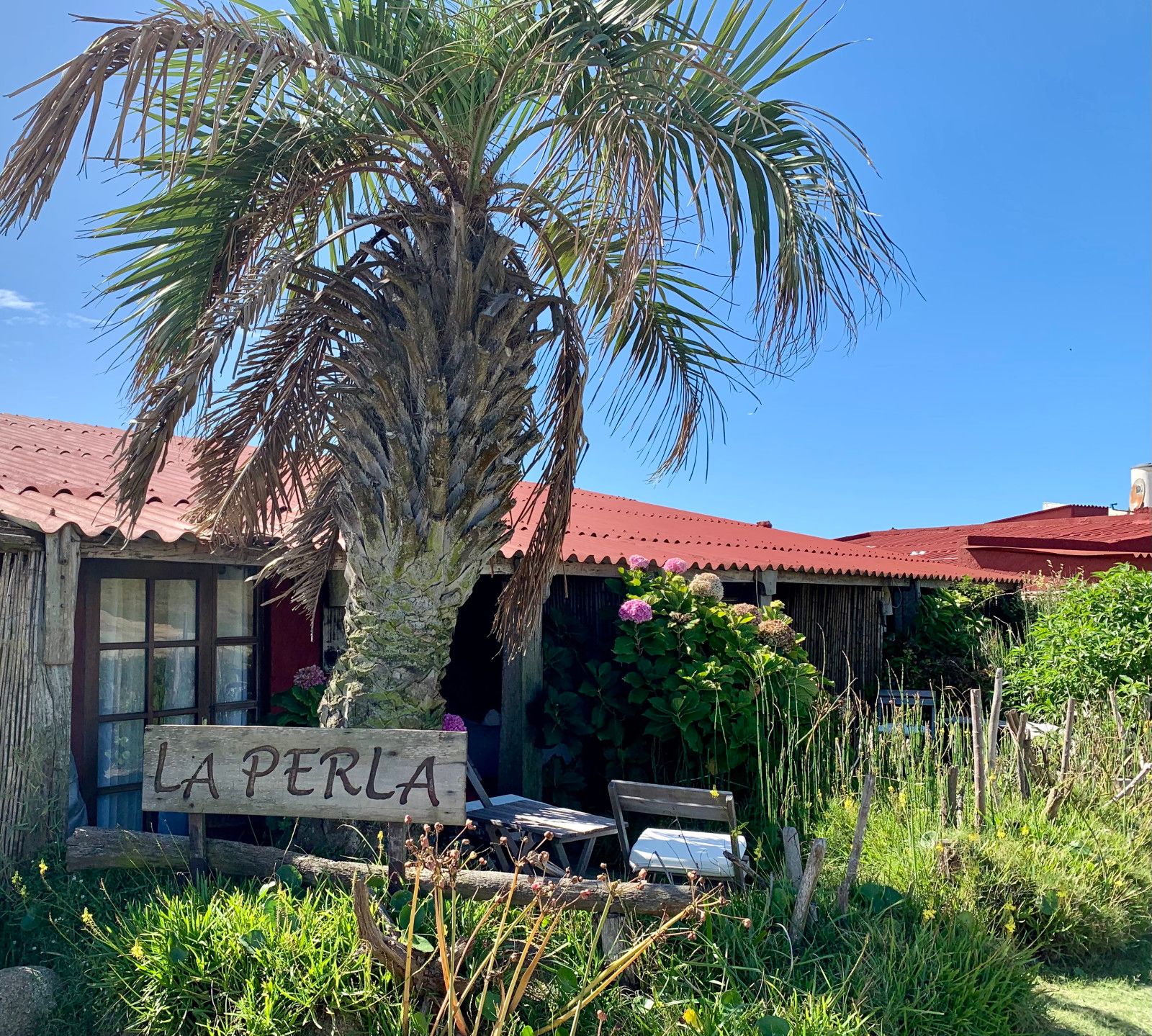 O que fazer em Cabo Polonio em 1 dia - 53