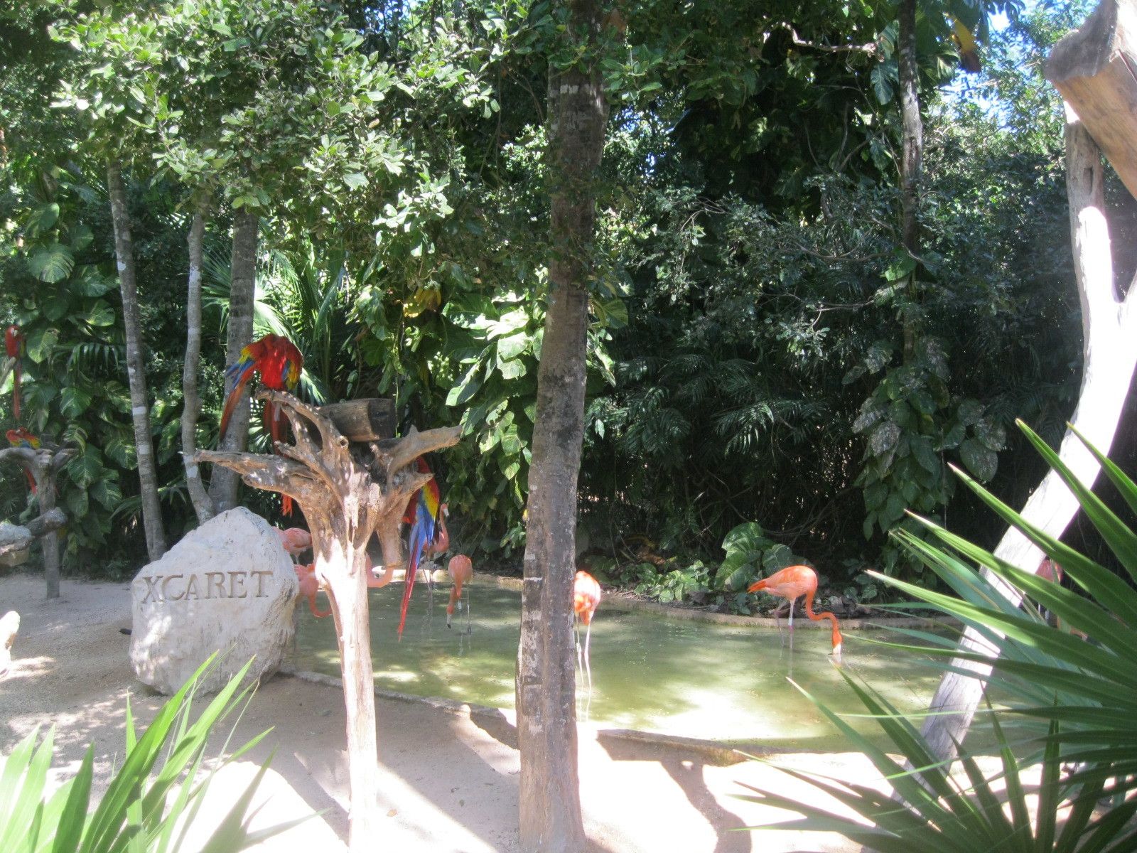 O que fazer em Cancun com crianças - 9