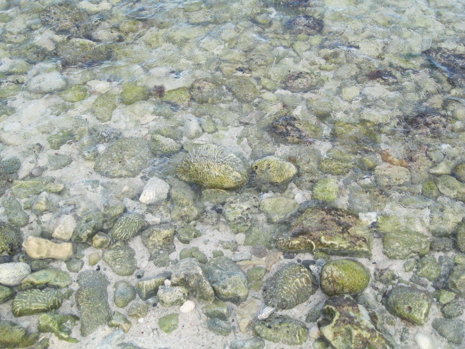 O que fazer em Cancun com crianças - 34