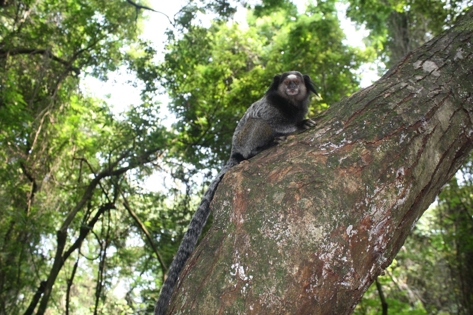 Mirante do Mangabeiras em Belo Horizonte - 28