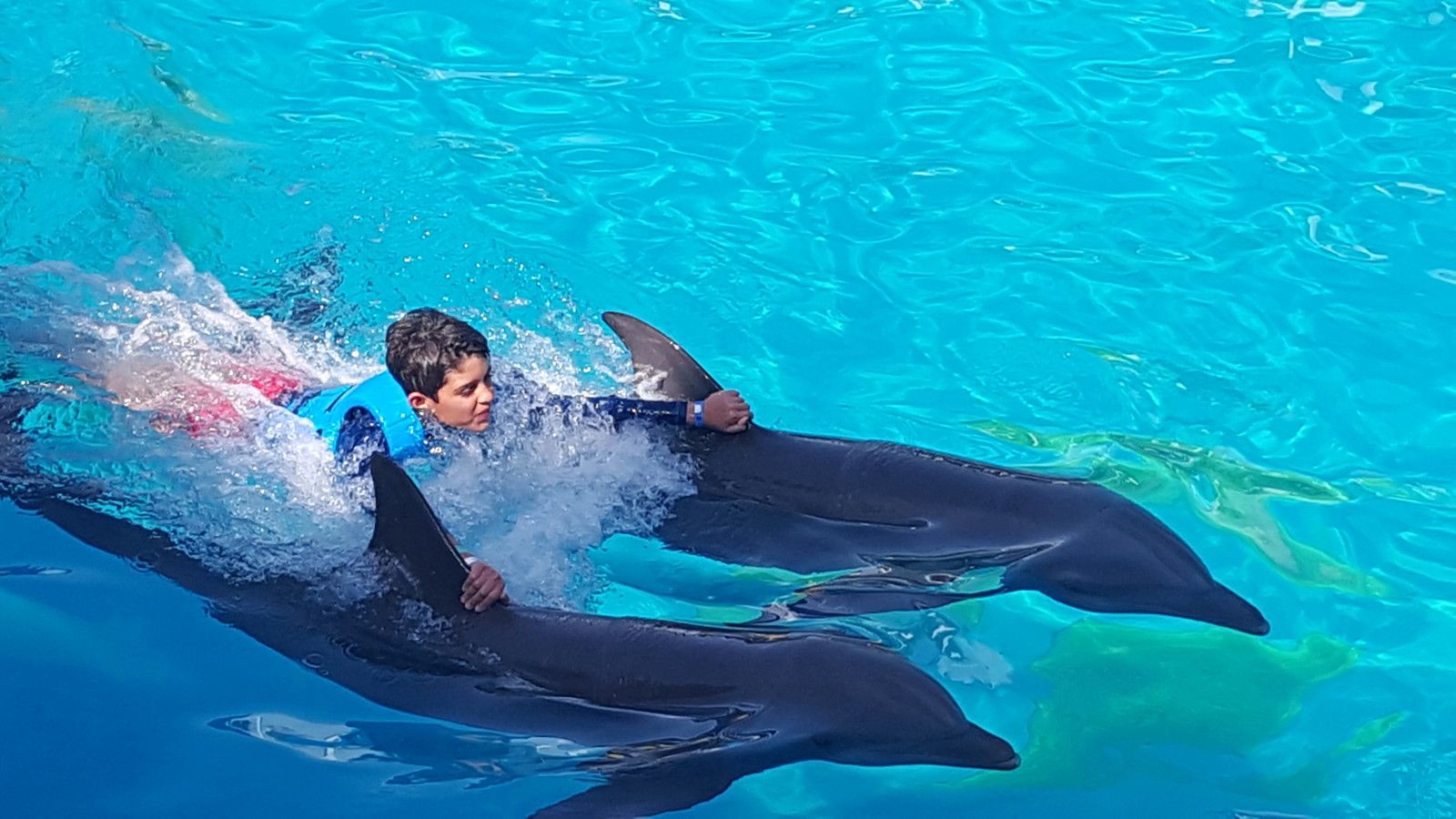 O que fazer em Cancun com crianças - 26