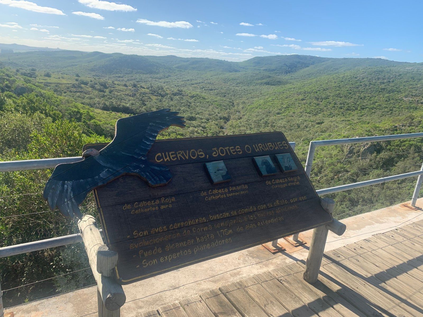 Passeios Bate e Volta a partir de Montevidéu - 39