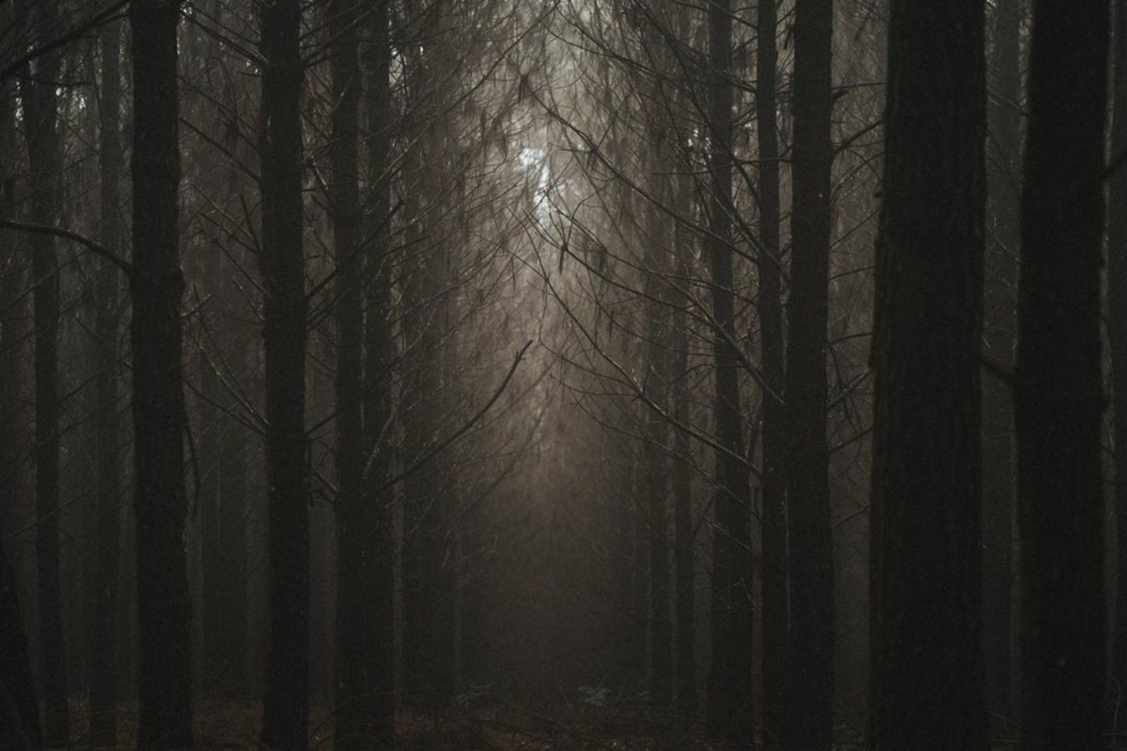 Fotógrafo em Urubici - 27