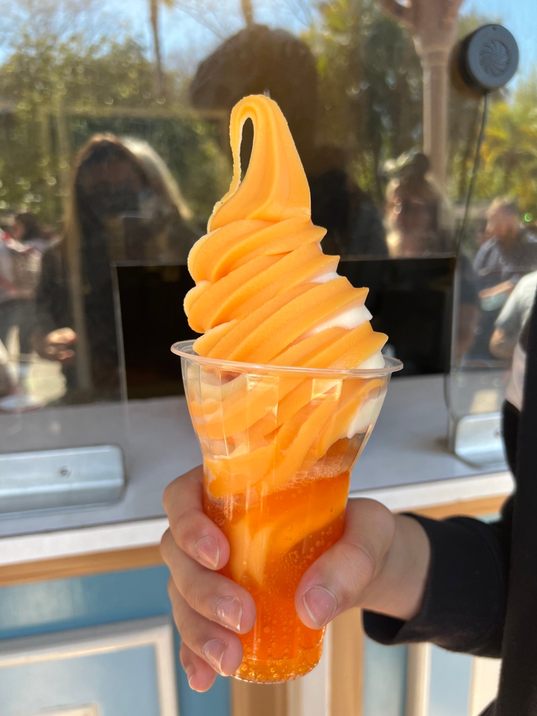 Como economizar com alimentação na Disney - 14