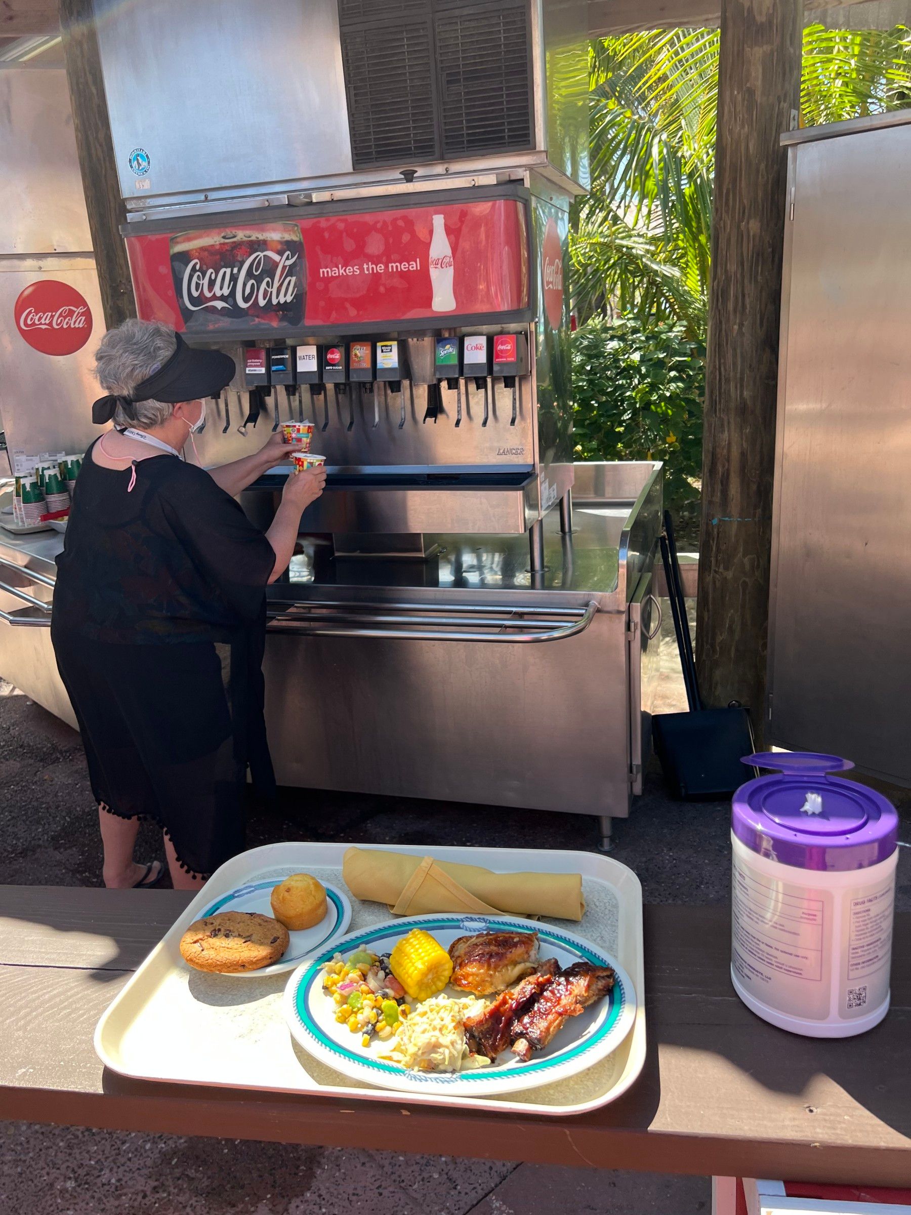 O que fazer na Castaway Cay: a Ilha da Disney - 40