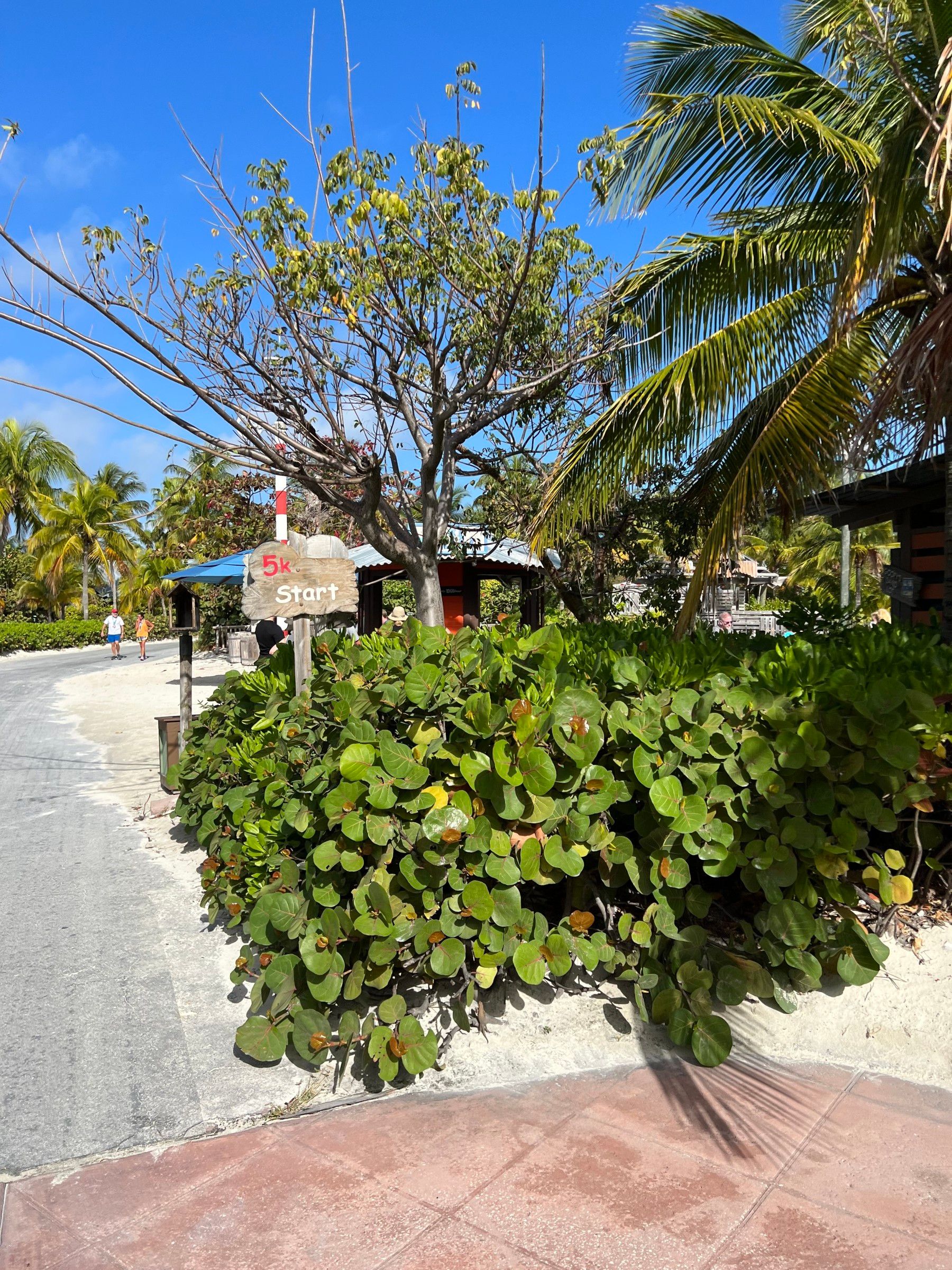 O que fazer na Castaway Cay: a Ilha da Disney - 13