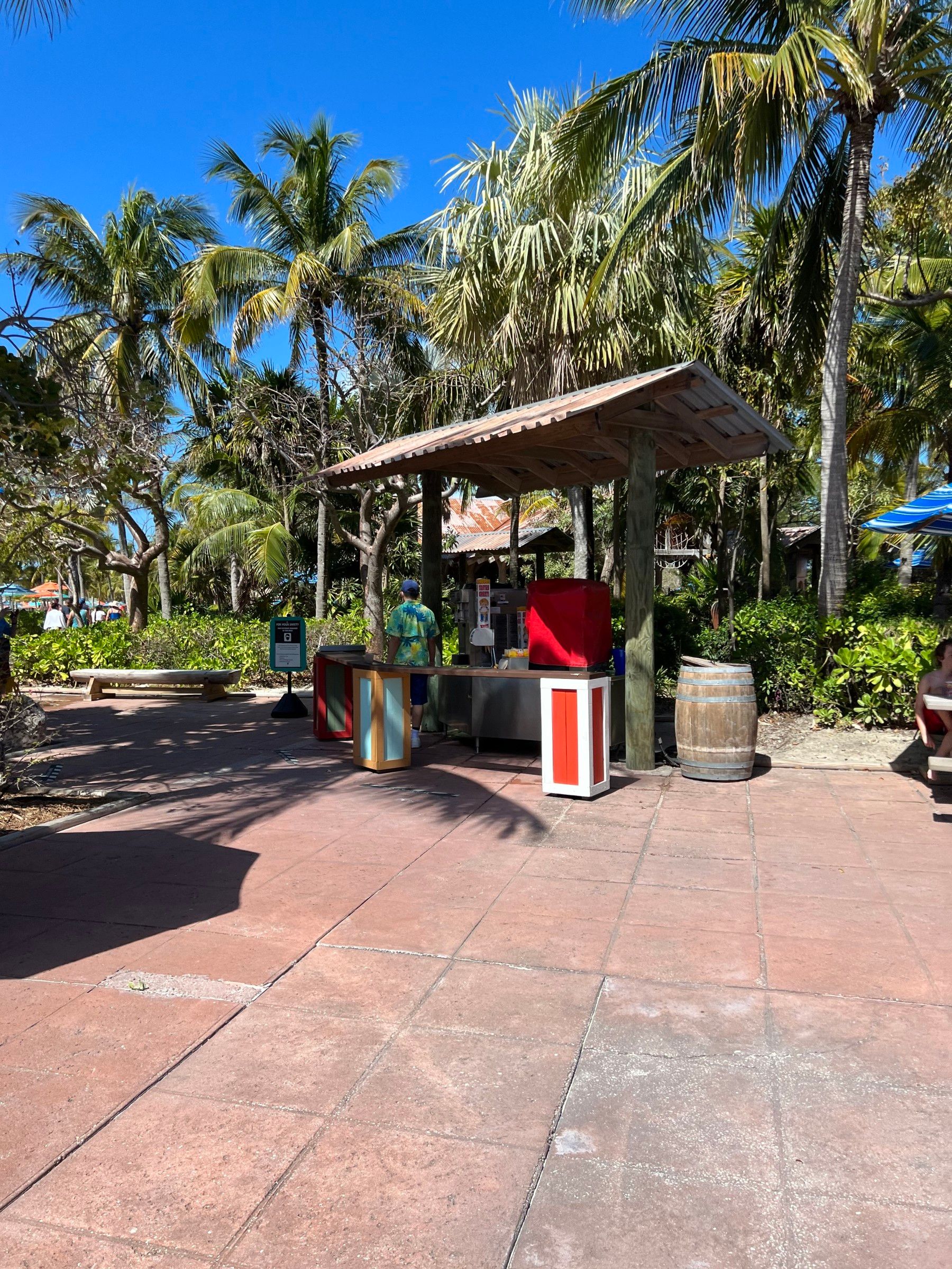 O que fazer na Castaway Cay: a Ilha da Disney - 41