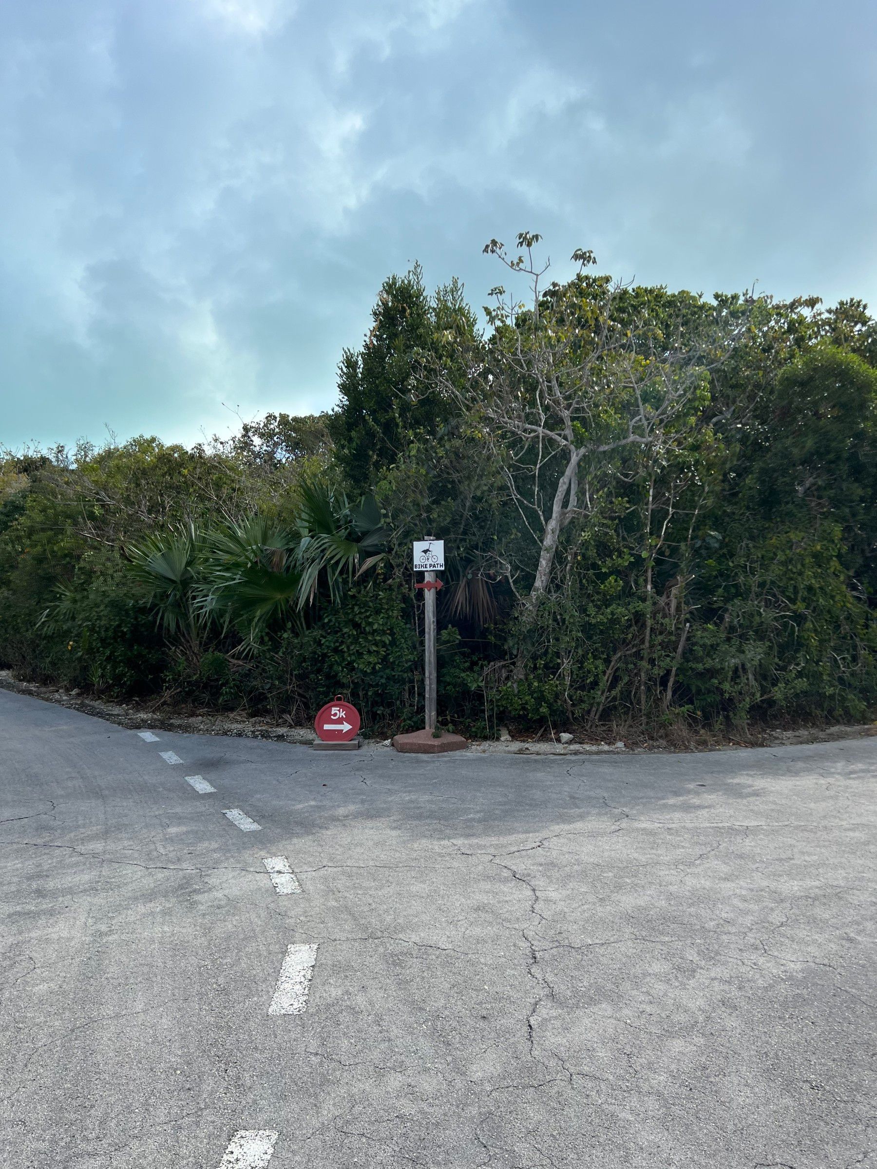 O que fazer na Castaway Cay: a Ilha da Disney - 15