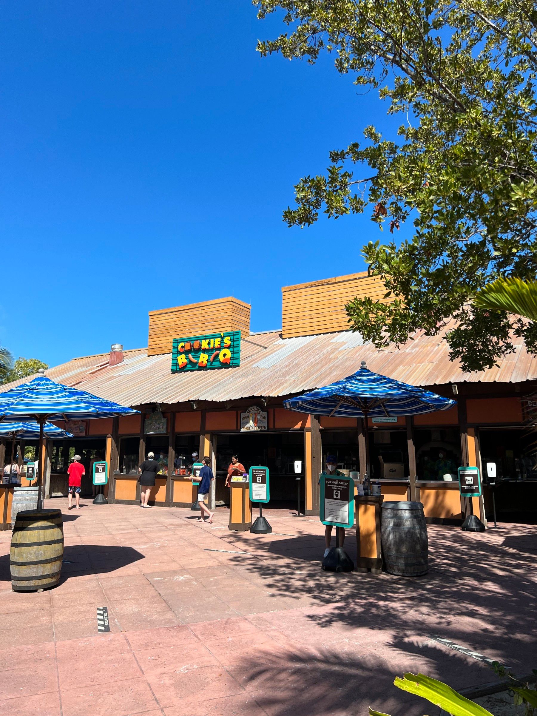 O que fazer na Castaway Cay: a Ilha da Disney - 39