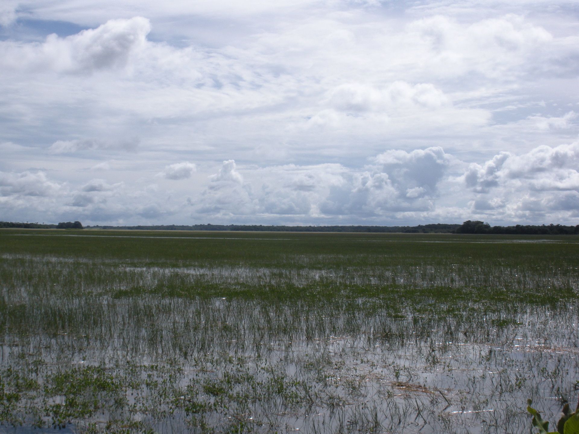 O que fazer em Macapá: a capital do meio do mundo - 38