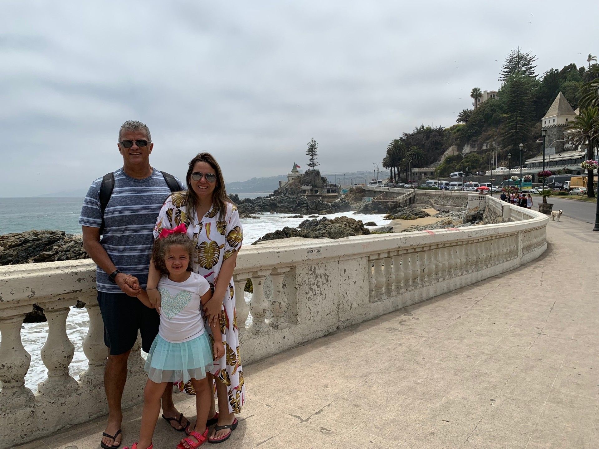 Vinã del Mar: bate-volta saindo de Santiago - 22