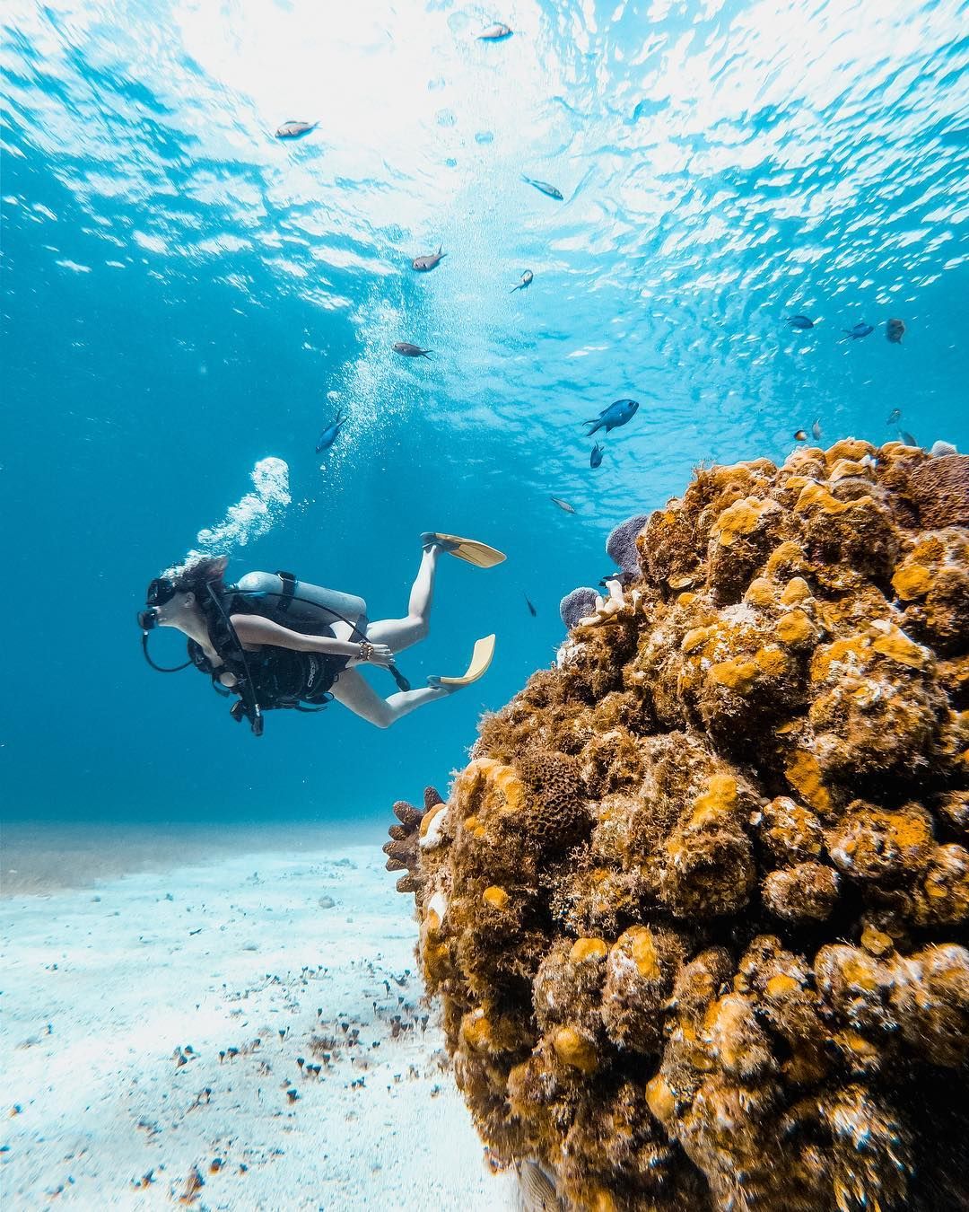 Capa revista Vamos Latam em Cancun /capa-revista-vamos-latam-em-cancun