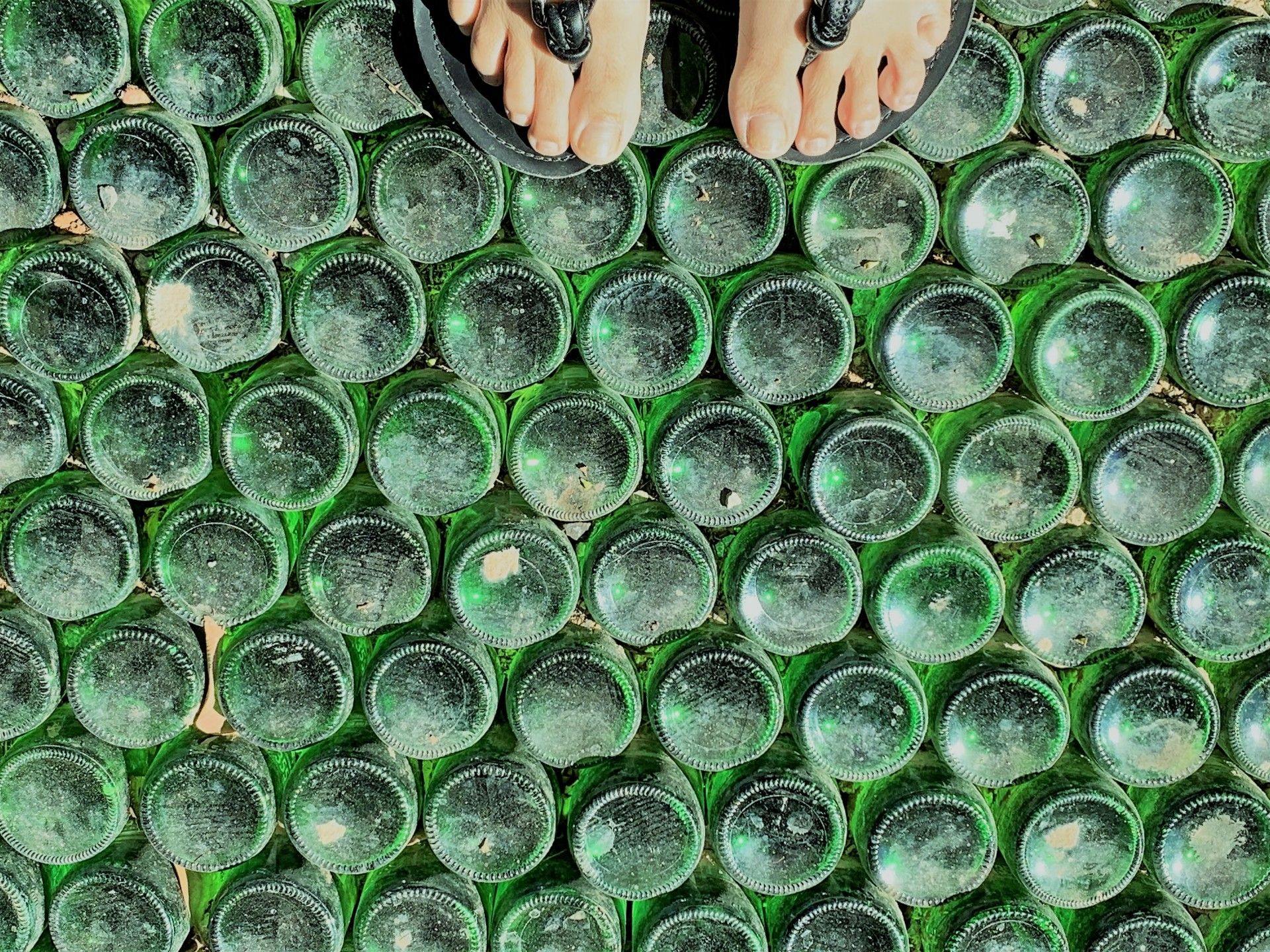 Campo de Girassol em Brasília! Um lugar para lindas fotos! - 28