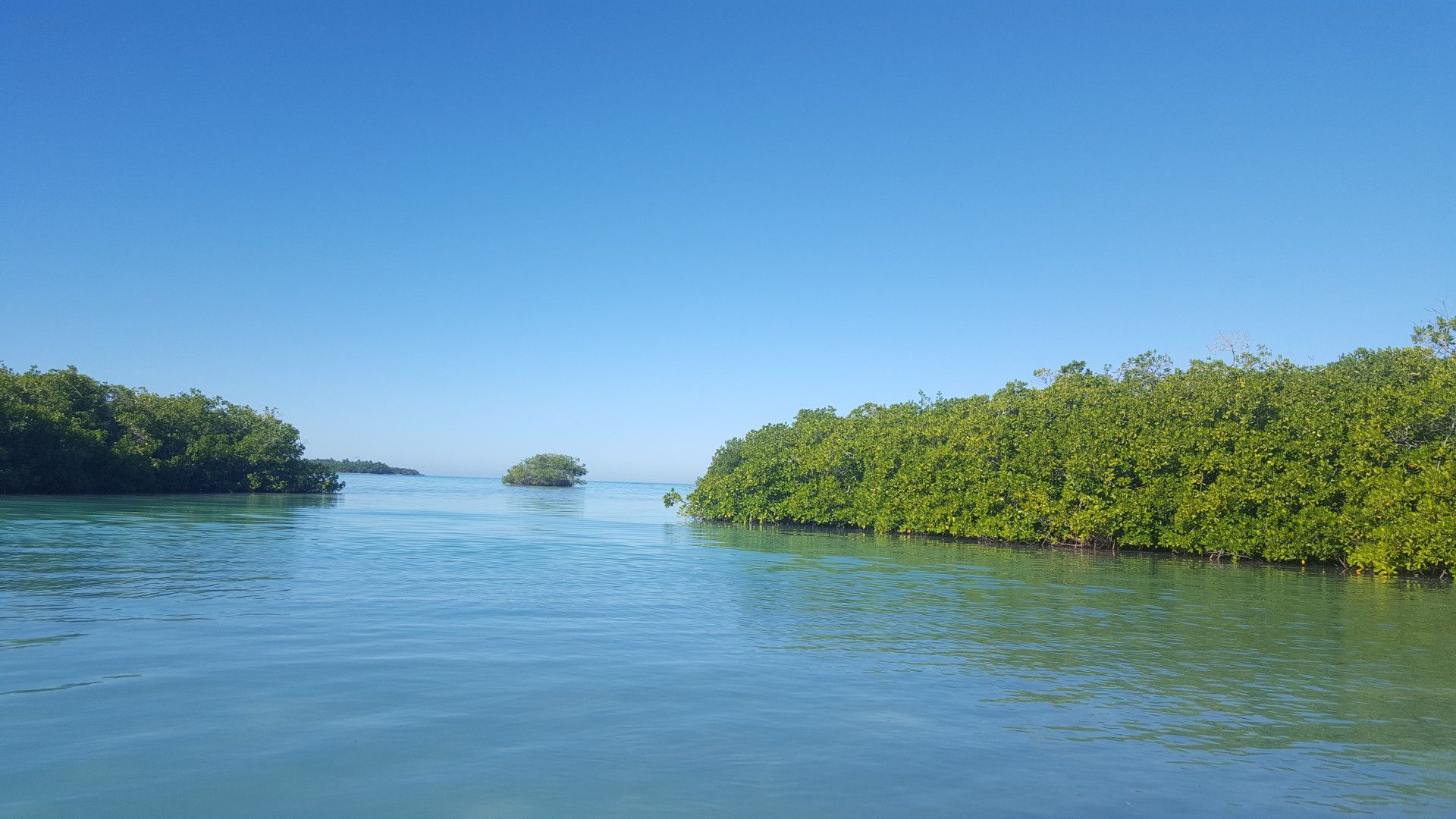 Isla Saona: como é esse passeio oferecido em Punta Cana - 14