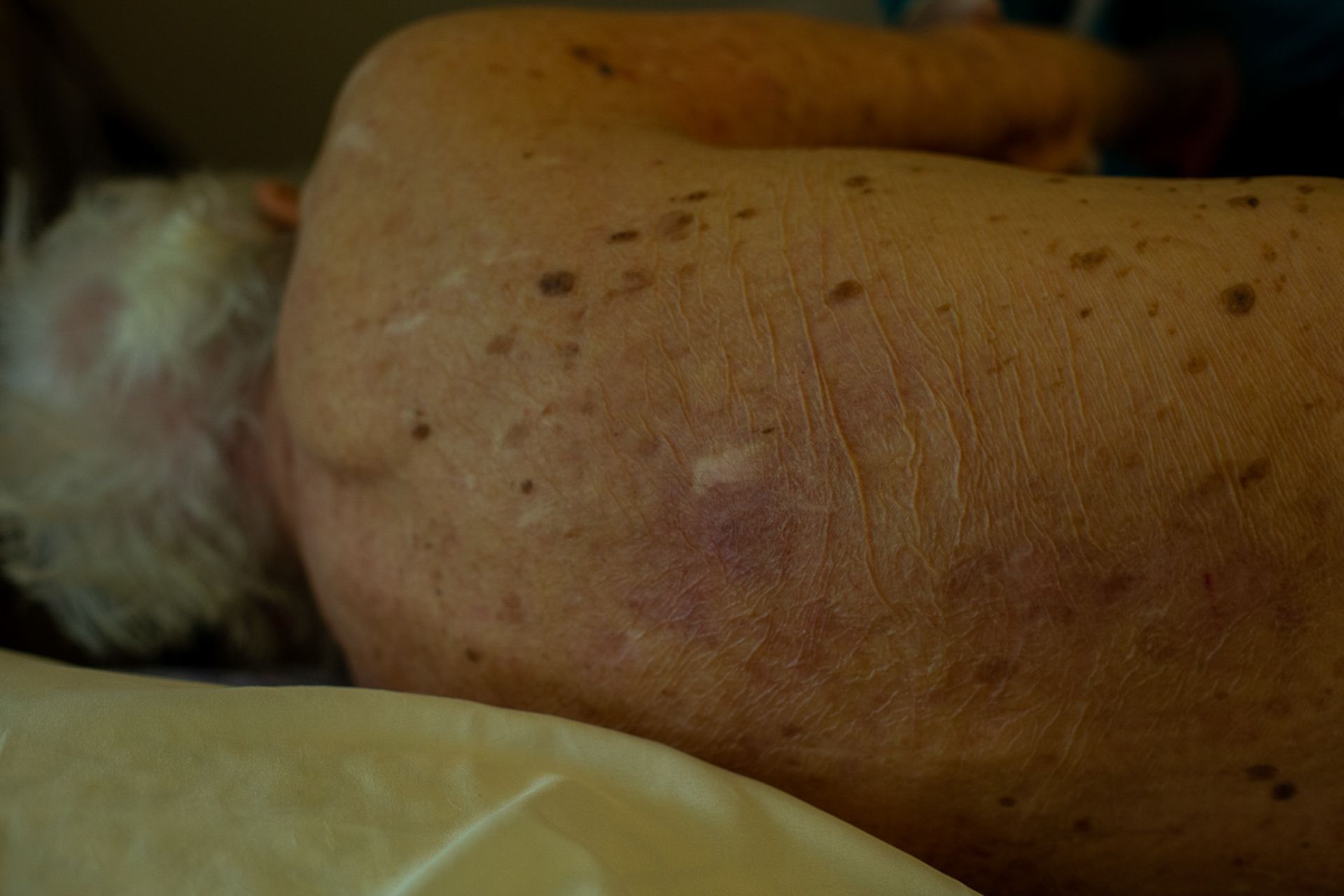 AlfaAgency - Slide 9