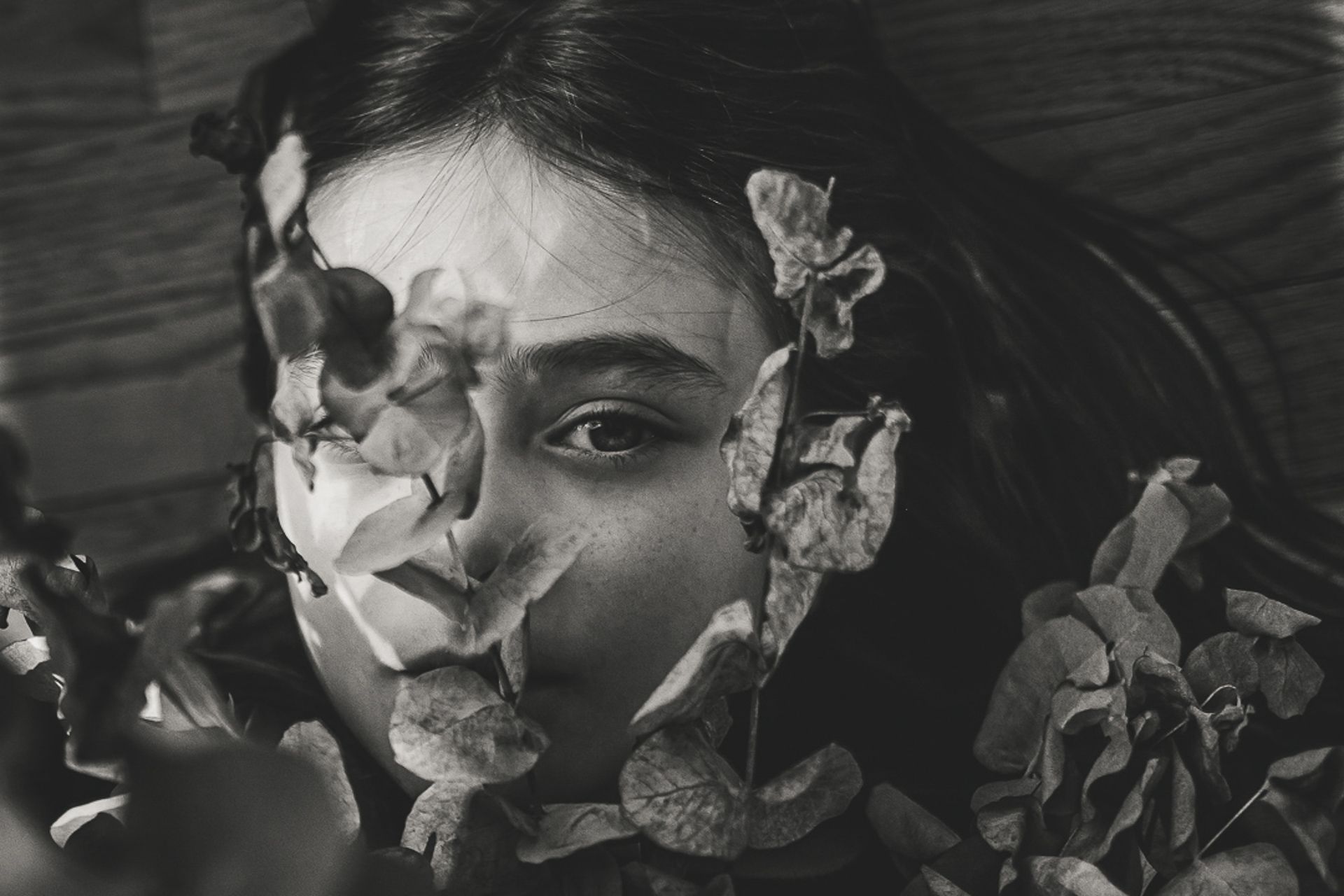 AlfaAgency - Slide 3