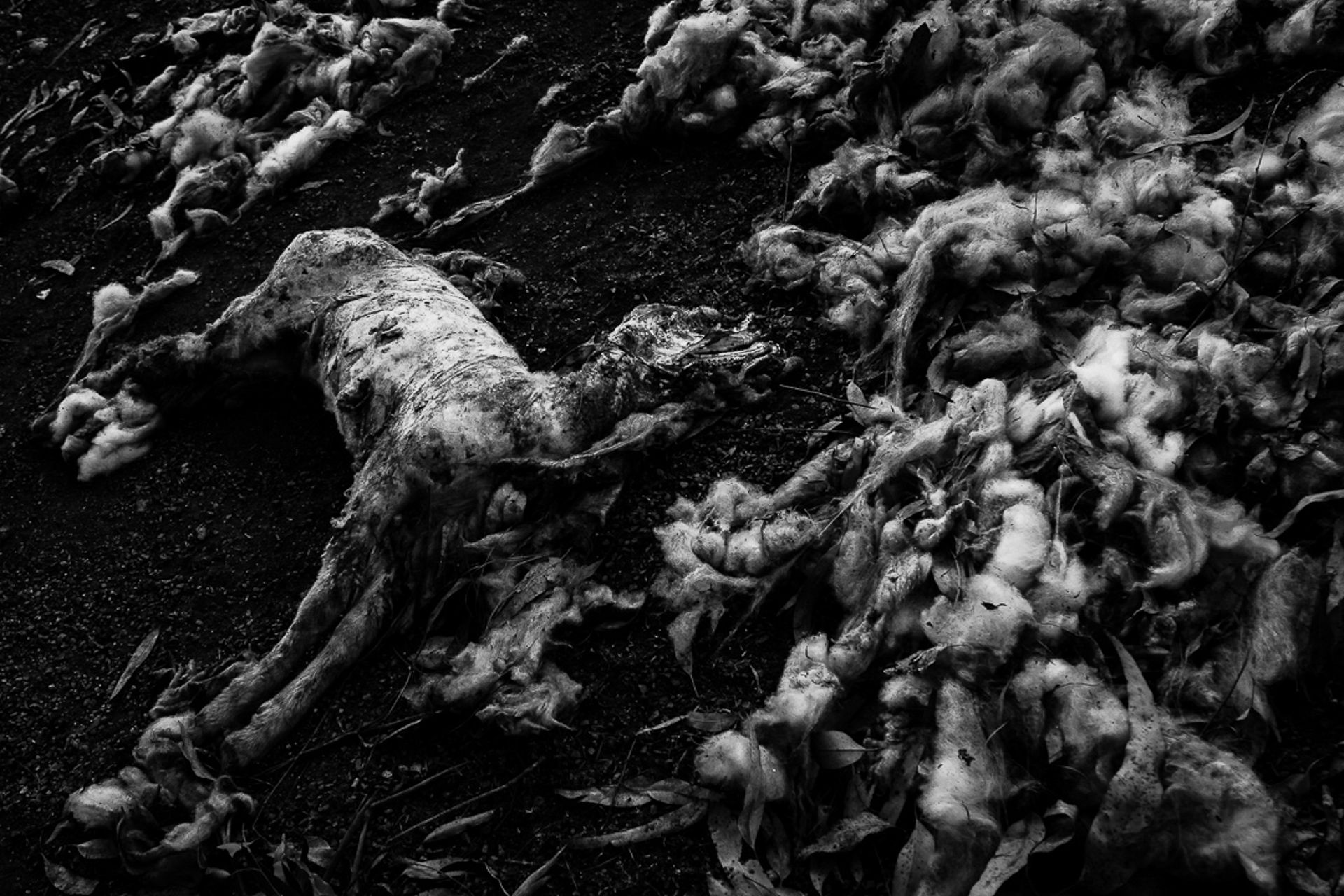 AlfaAgency - Slide 29