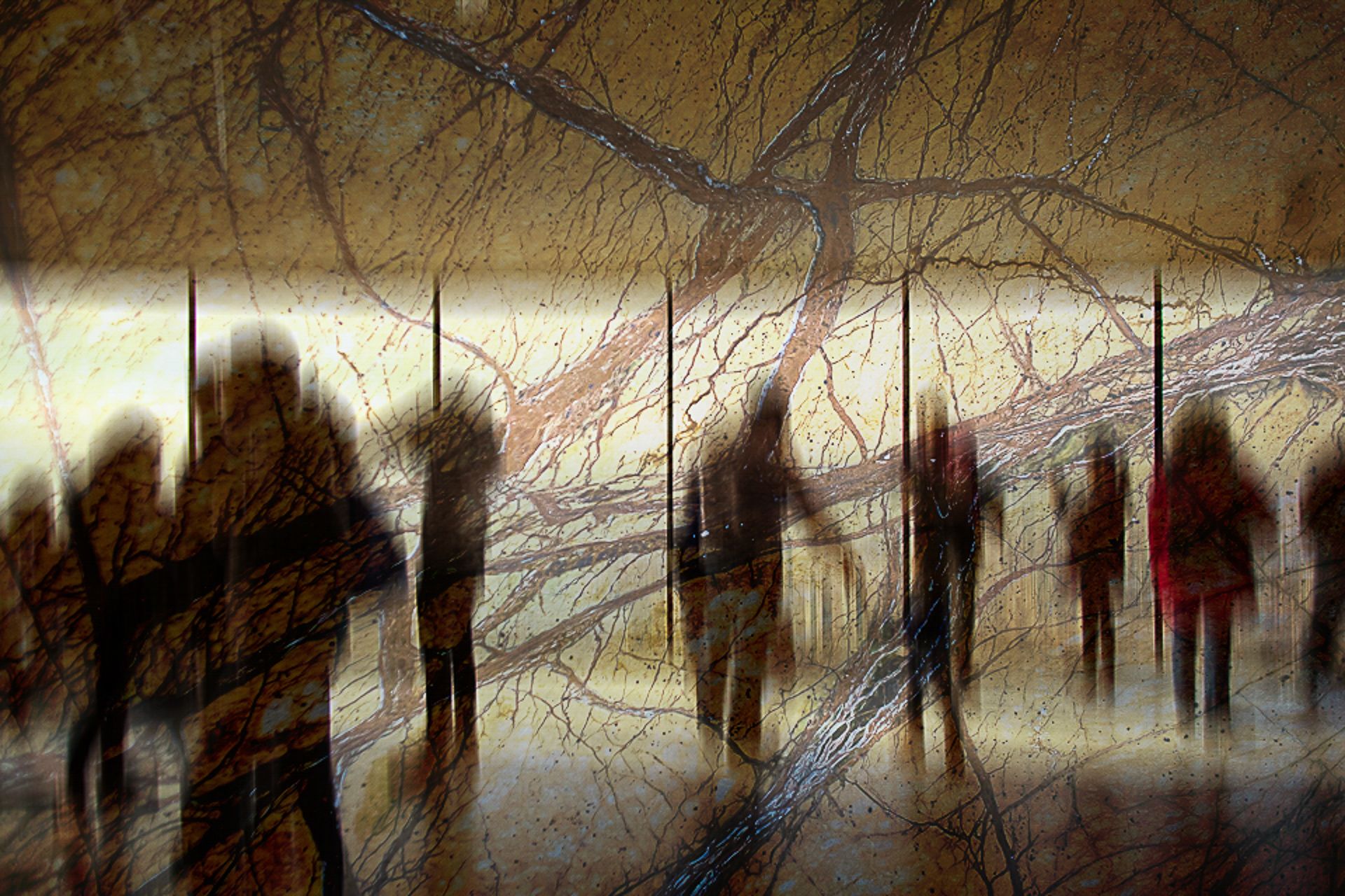 AlfaAgency - Slide 12