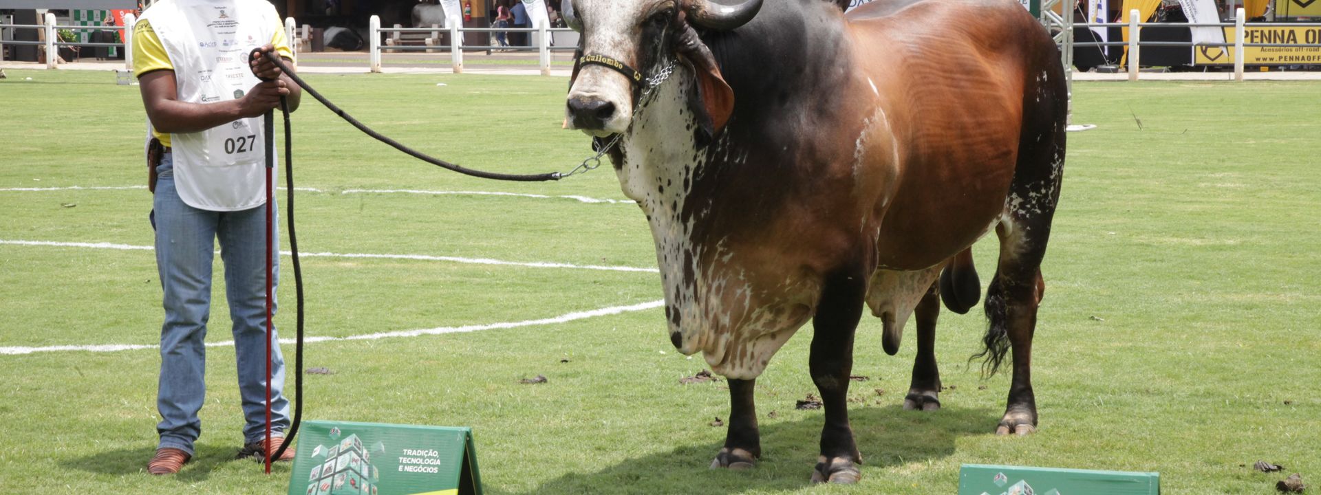 Expo Rio Preto 60 anos - maior feira agropecuária do Interior de SP /expo-rio-preto-60-anos-maior-feira-agropecuaria-do-interior-de-sp