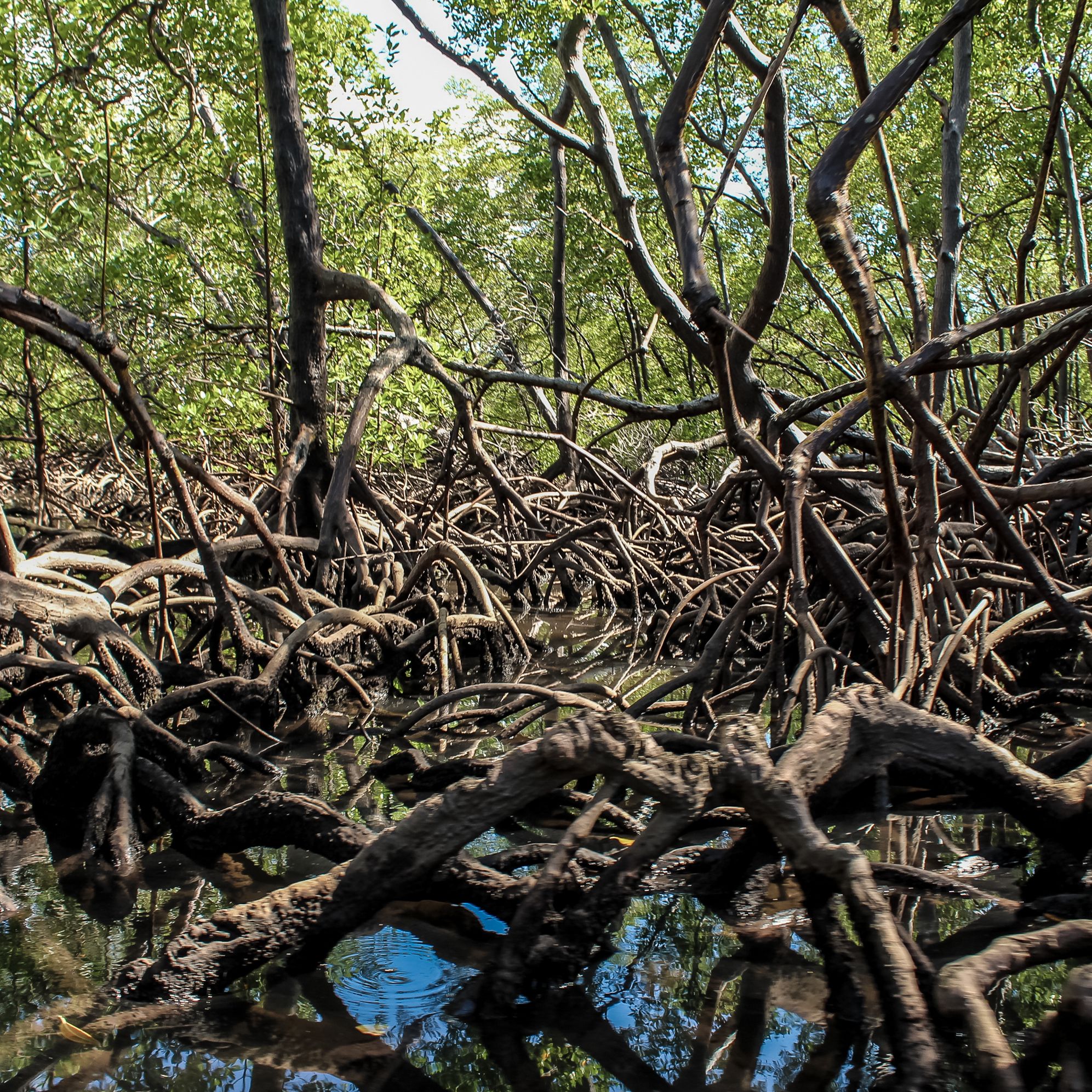 Fotos Aceitas e Premiadas - 3 - 11