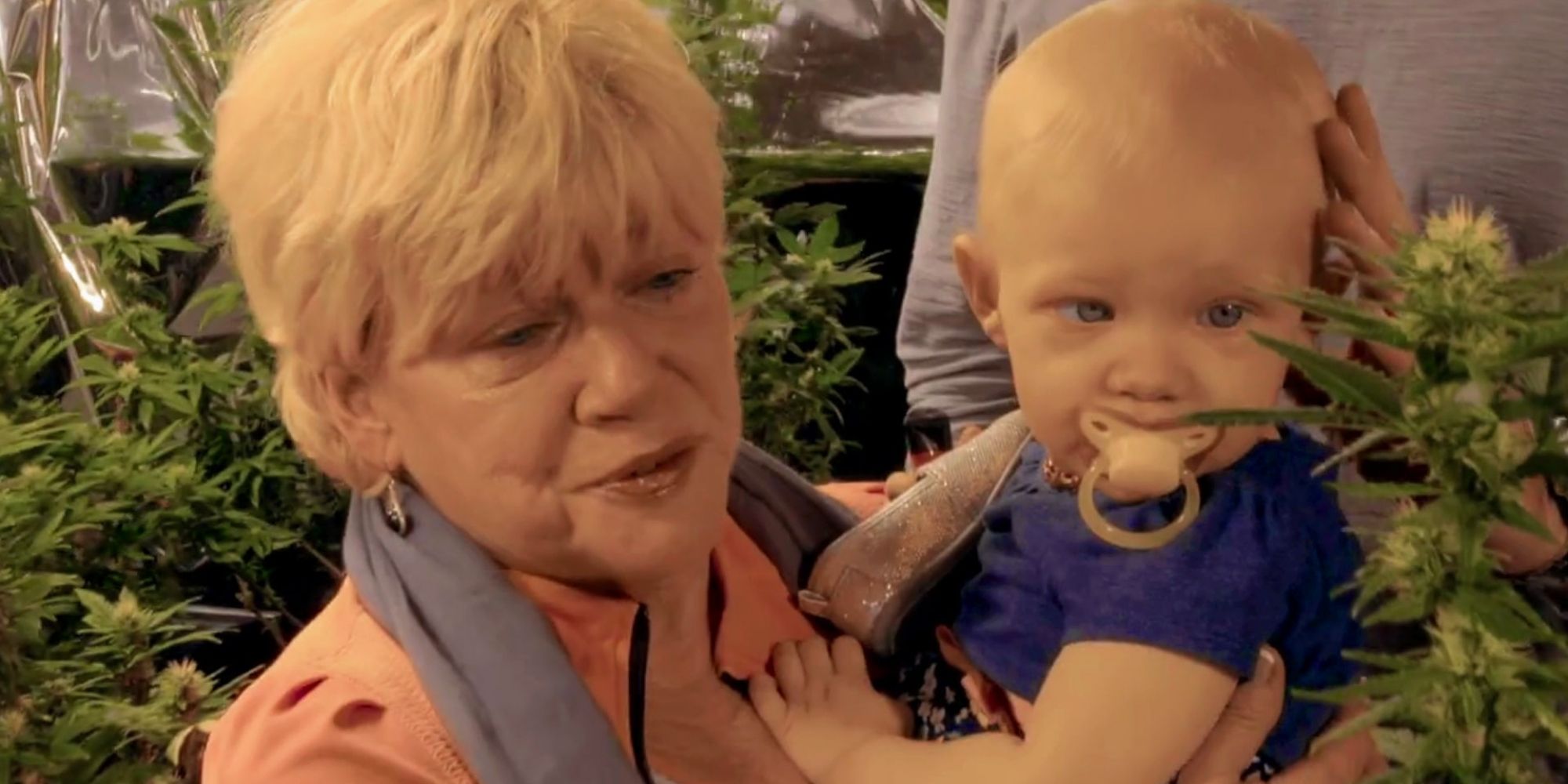 Filmes documentários e séries sobre a Cannabis: informação para além do clichê - 5