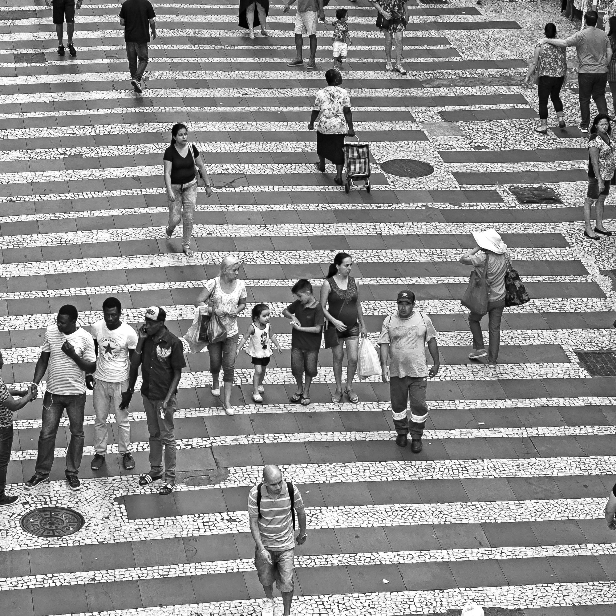 Fotos Aceitas e Premiadas - 3 - 14