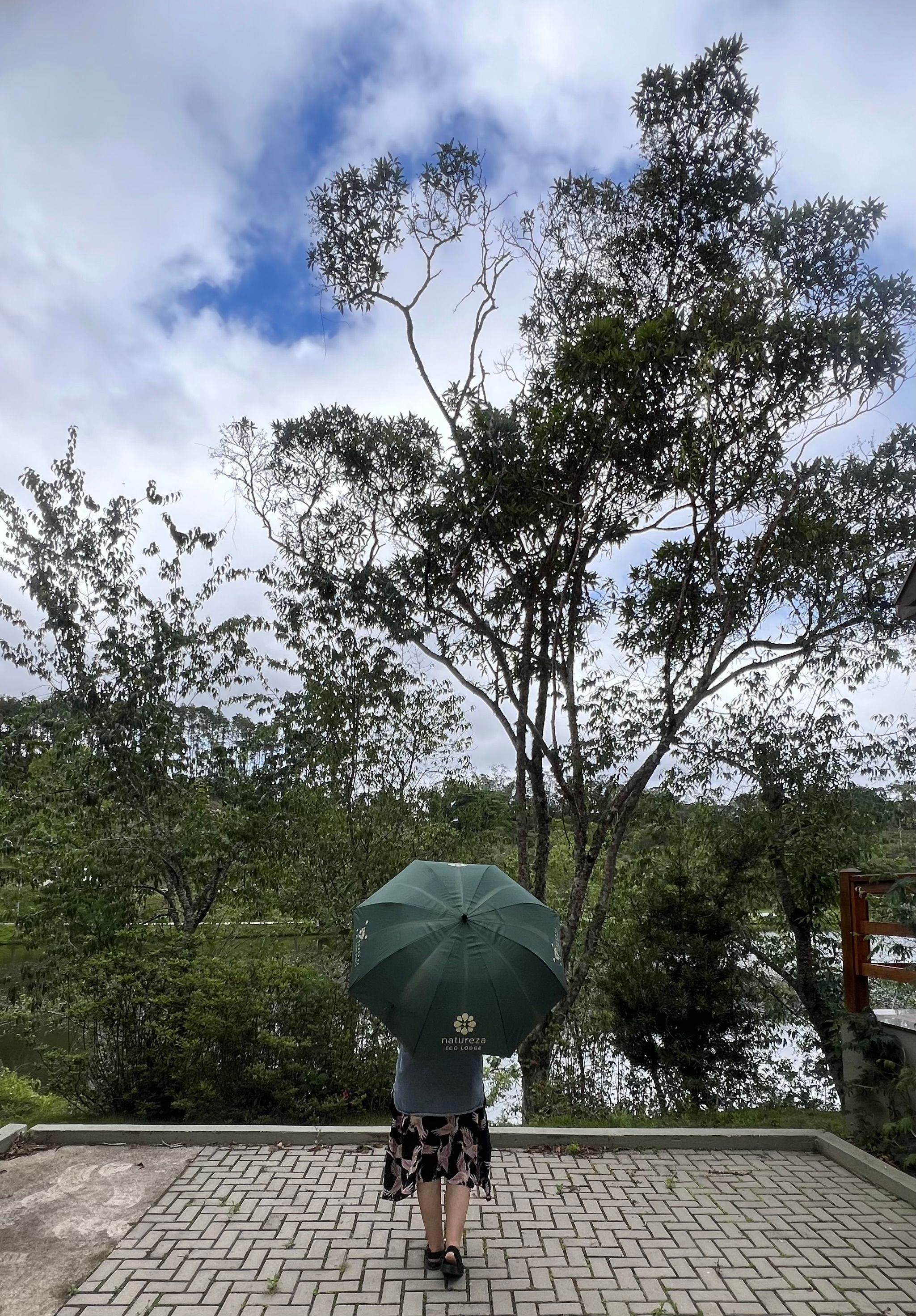 Onde comer no Espírito Santo: restaurantes e experiências - 36