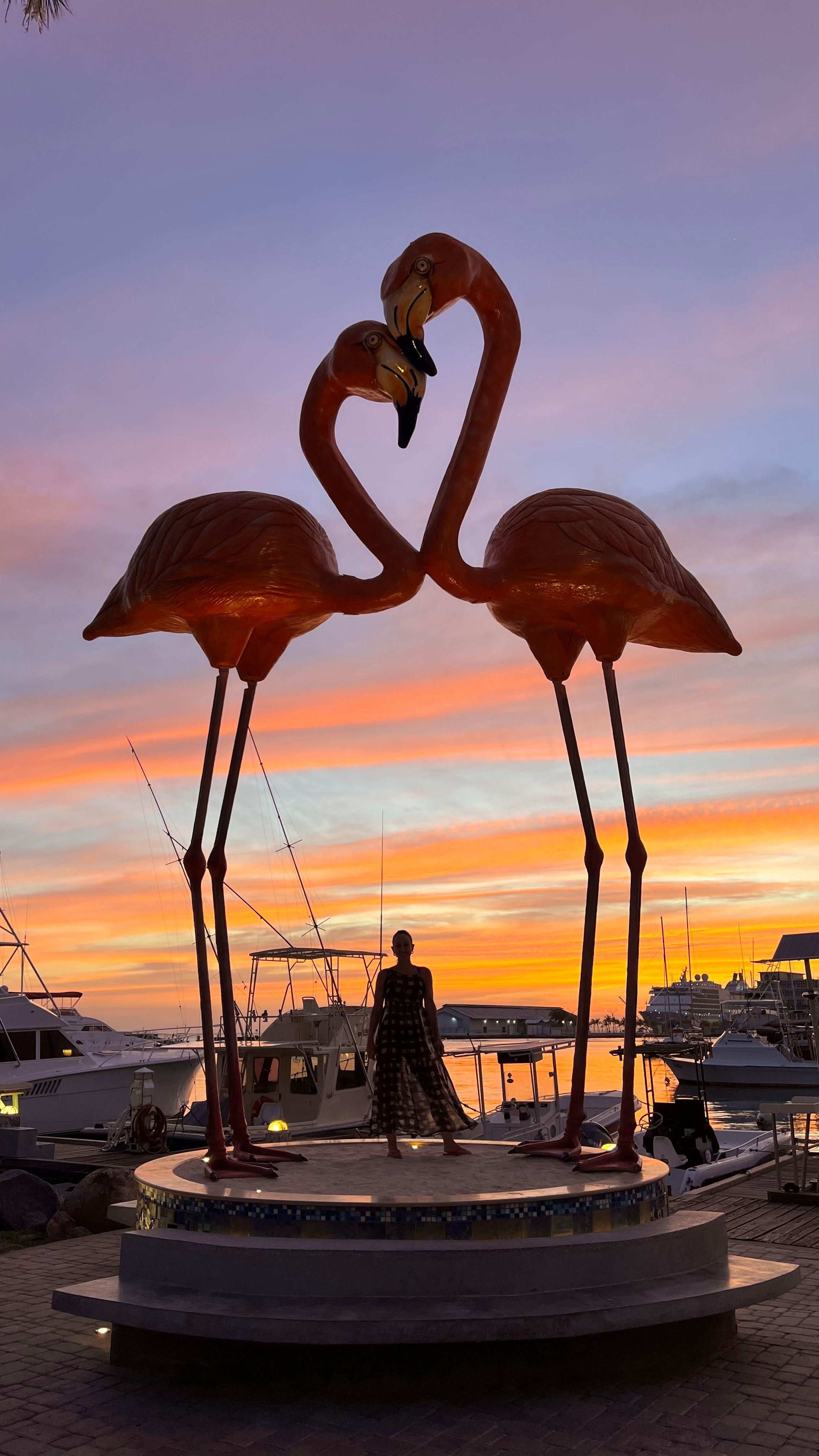 Tudo o que você precisa saber antes de viajar para Aruba - 11