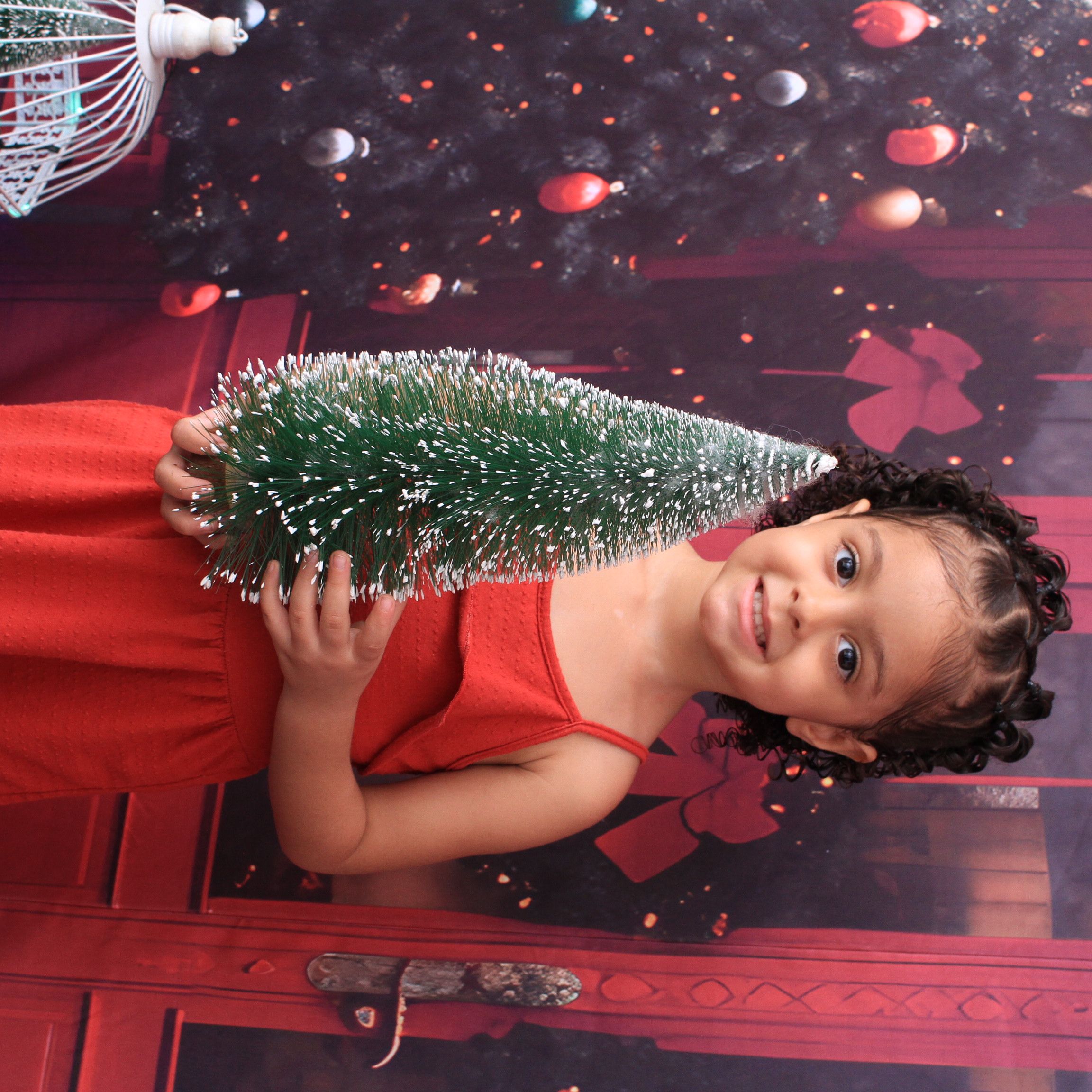 Ensaio de Natal (eternizando momentos) - 2 - 16