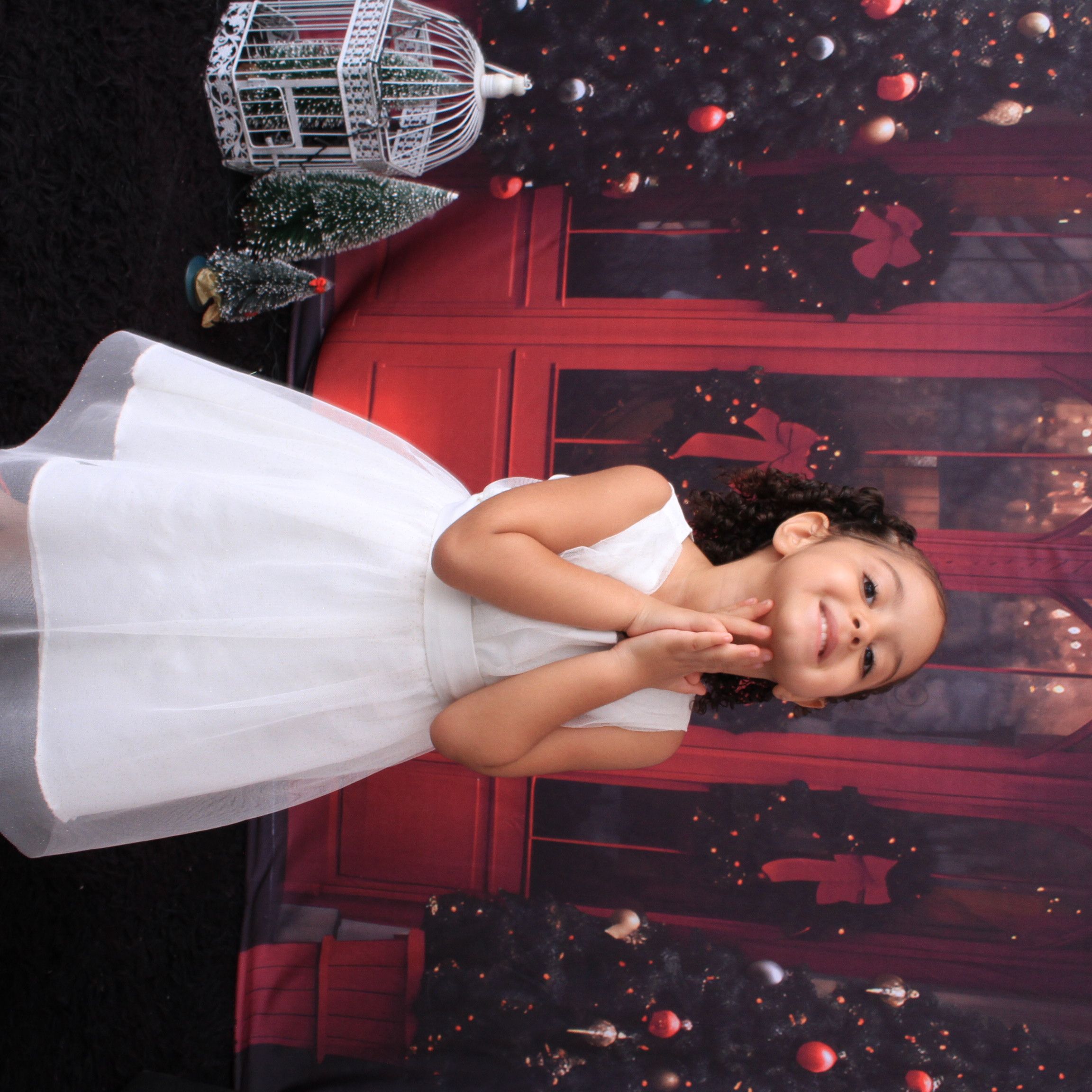 Ensaio de Natal (eternizando momentos) - 2 - 30