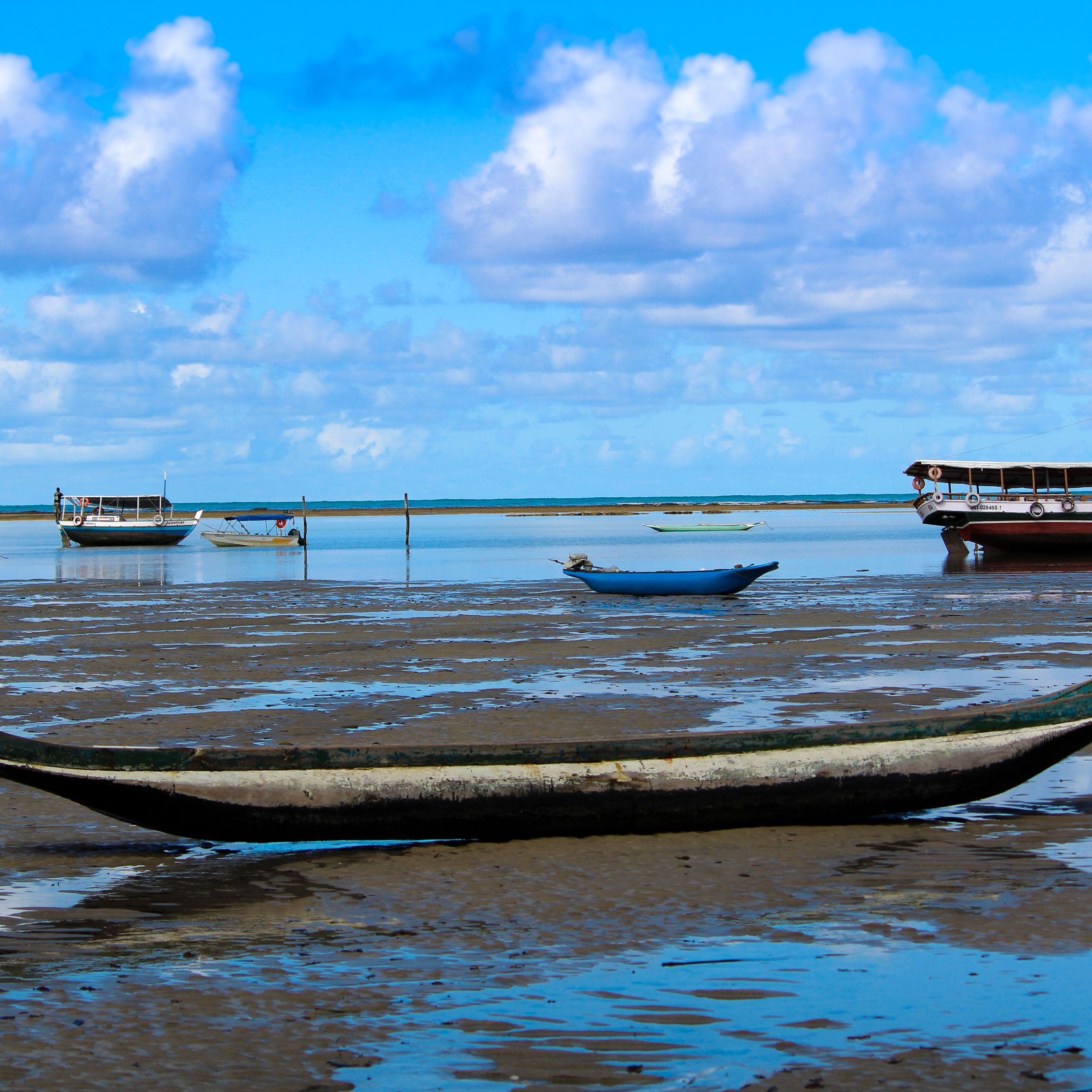 Fotos Aceitas e Premiadas - 3 - 17