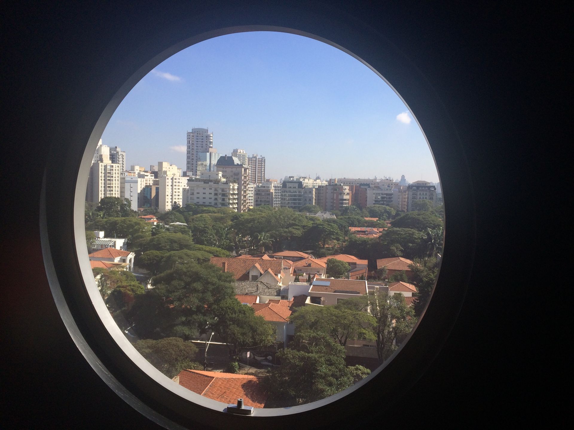 Tour Guide Erika Schemann - Newsletter