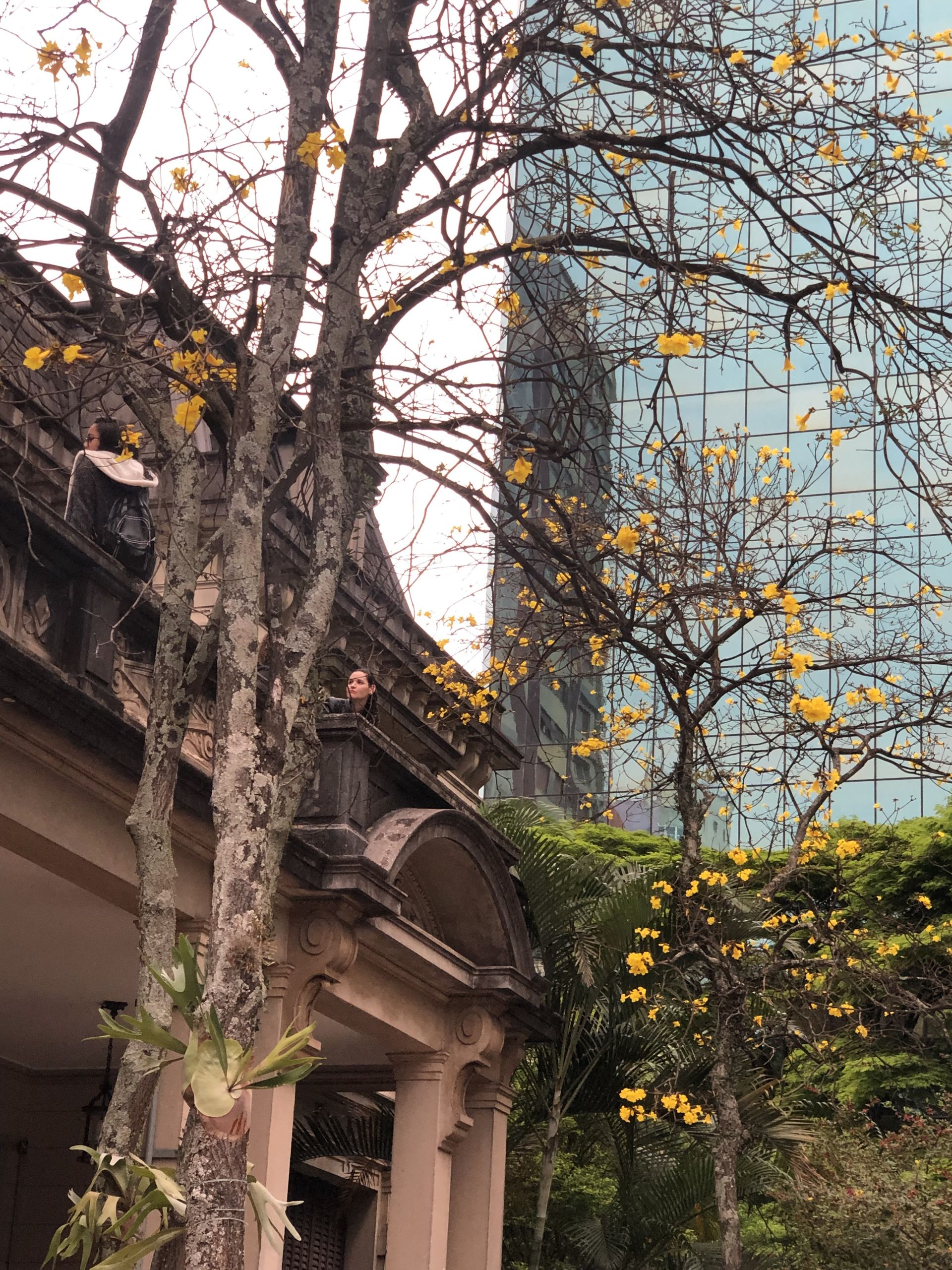 Casa das Rosas - São Paulo - 3 - 1