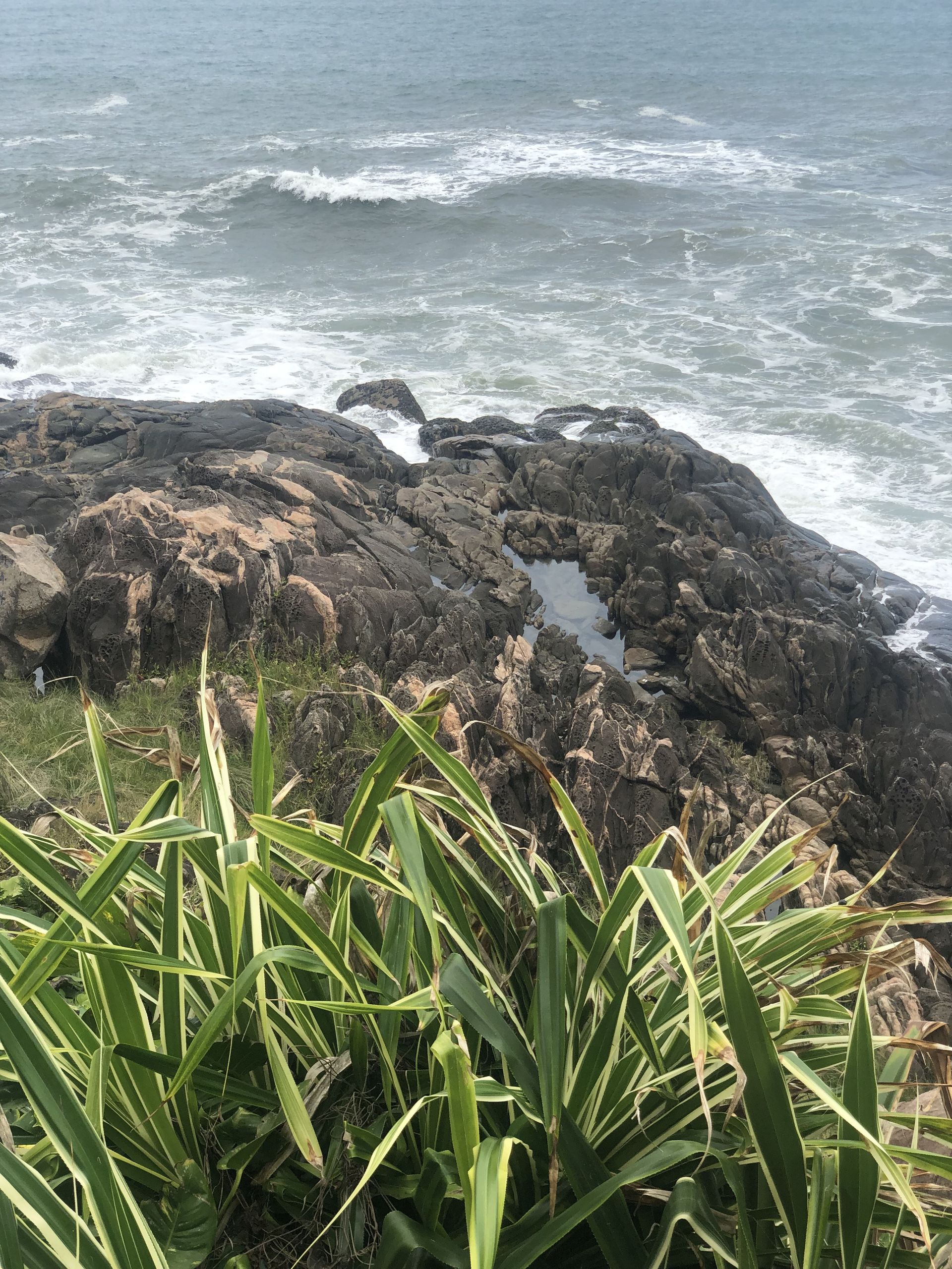 Beachtour - São Vicente, Santos and Guarujá - 18 - 1