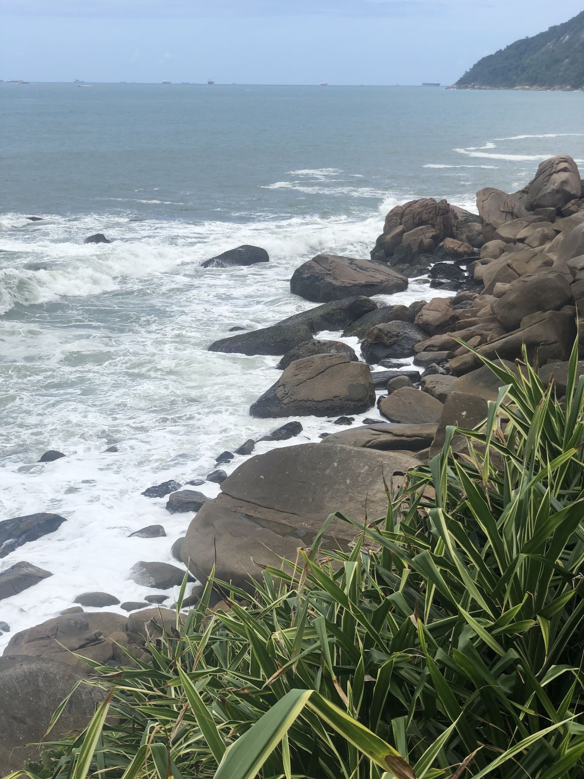 Beachtour - São Vicente, Santos and Guarujá - 18 - 2