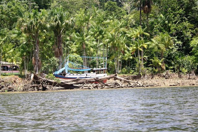 Onde começa o Brasil? Conheça o Oiapoque! - 17 - 2